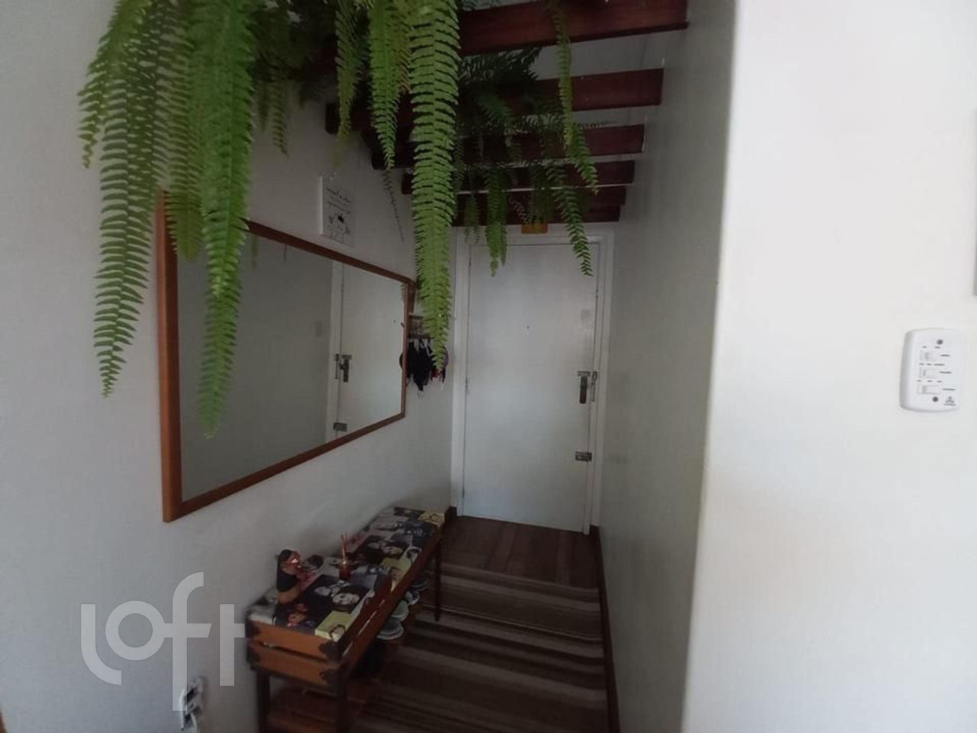 Imagem da propriedade 4