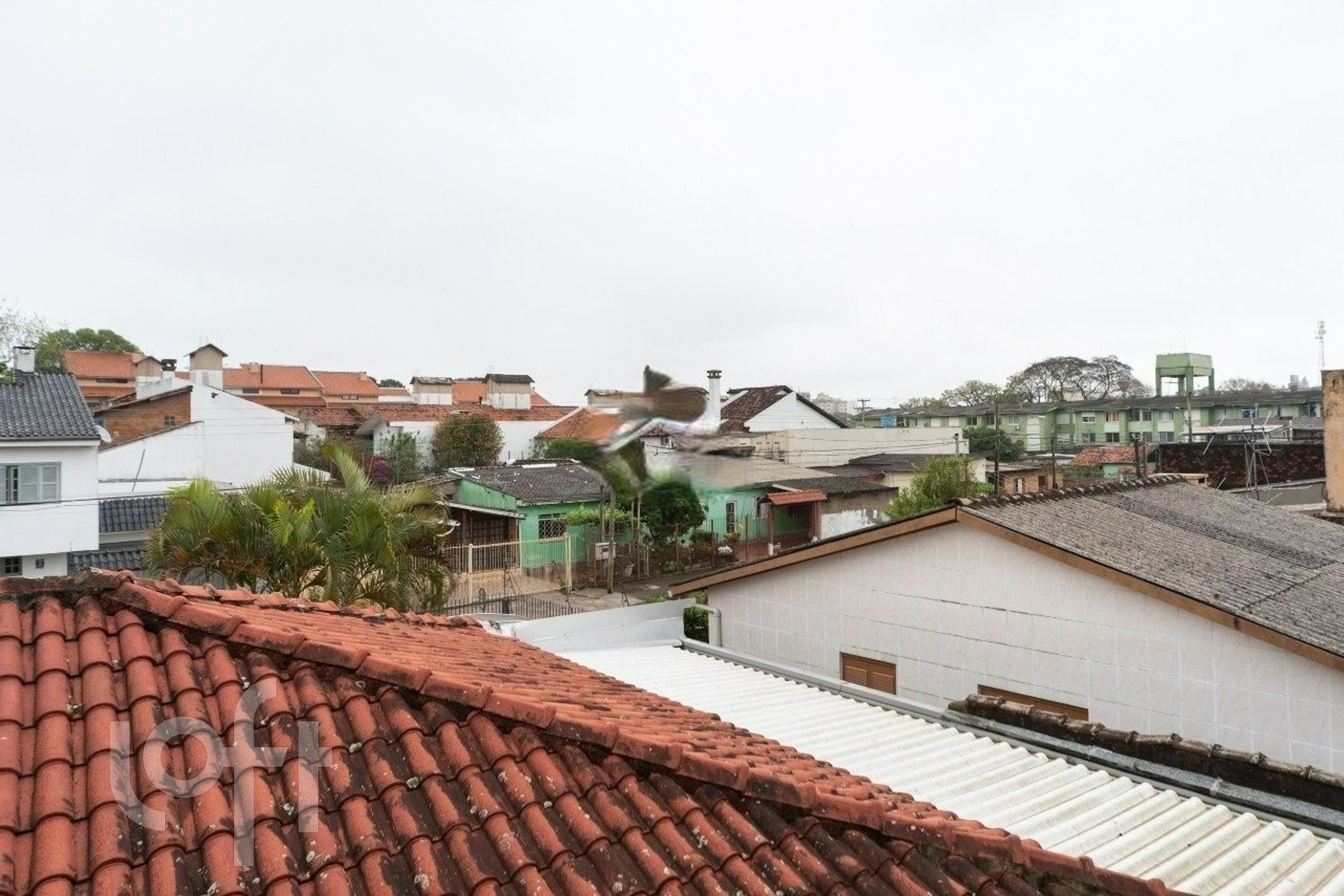 Imagem da propriedade 13