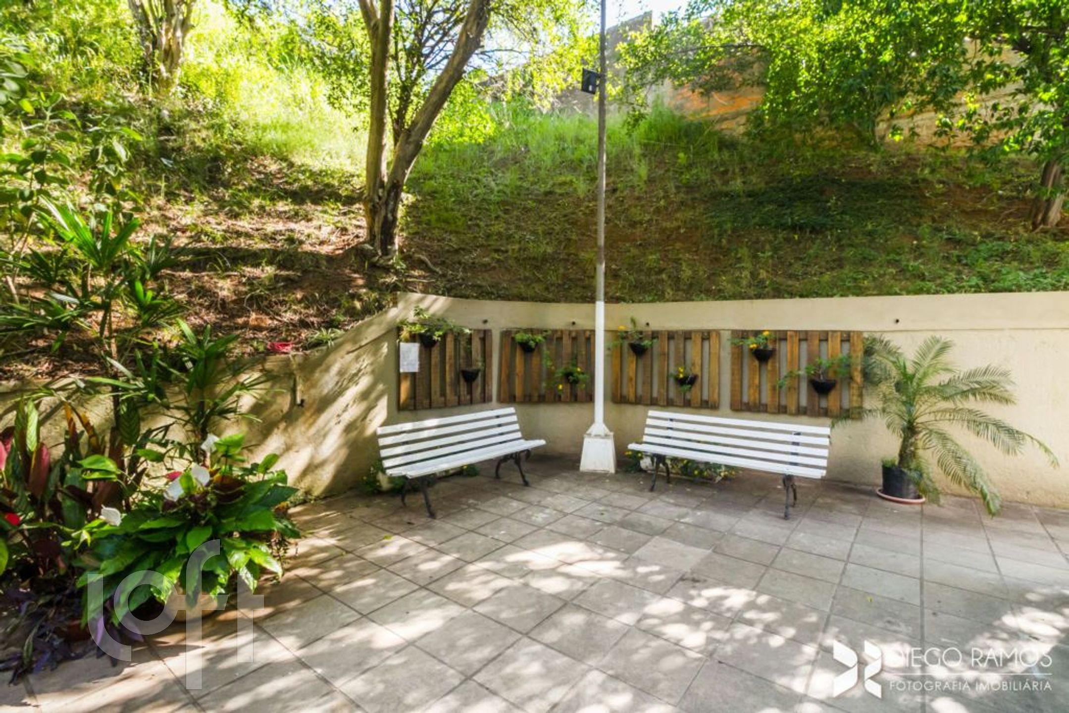 Imagem da propriedade 42