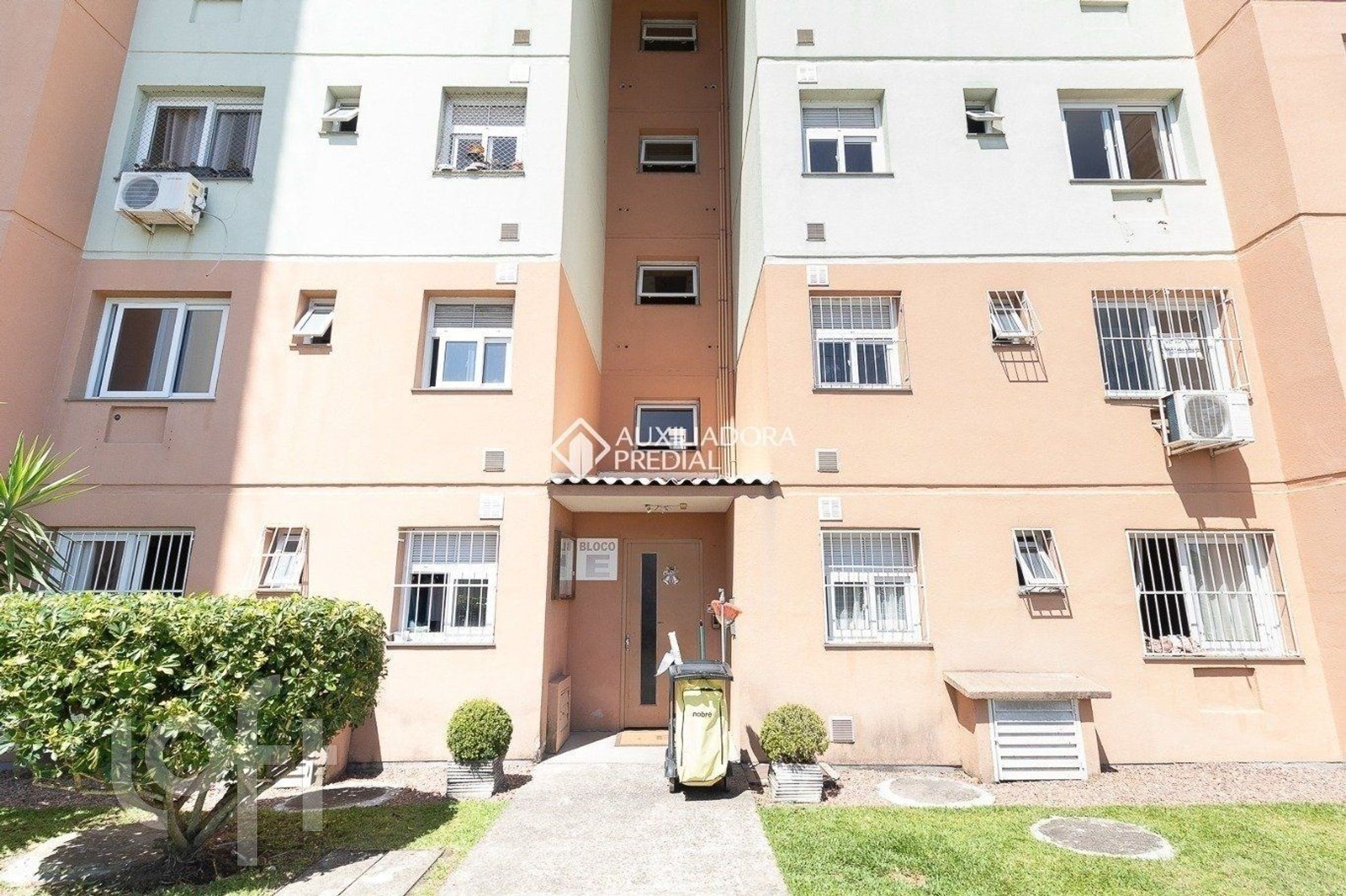 Imagem da propriedade 19