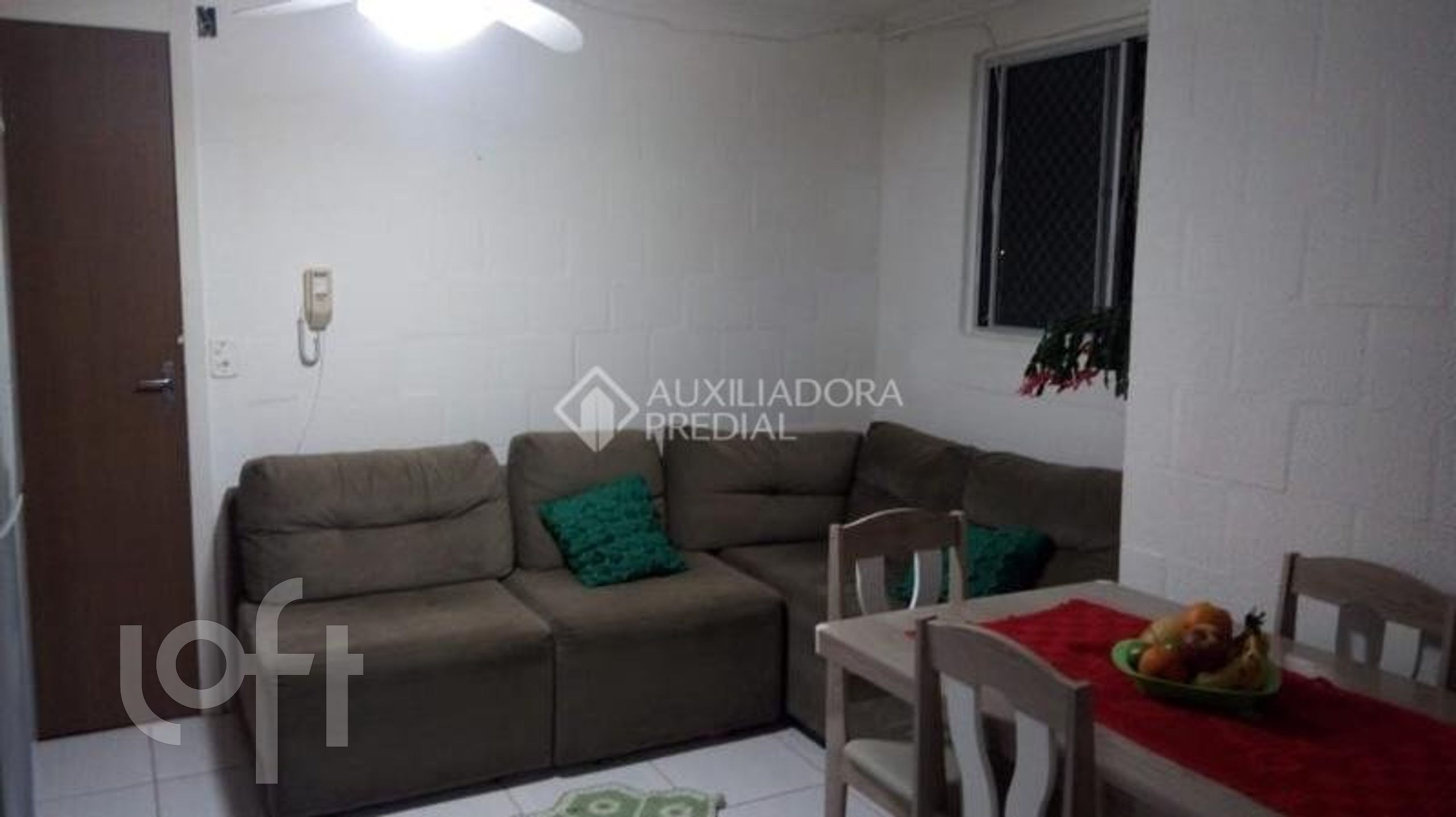 Imagem da propriedade 12