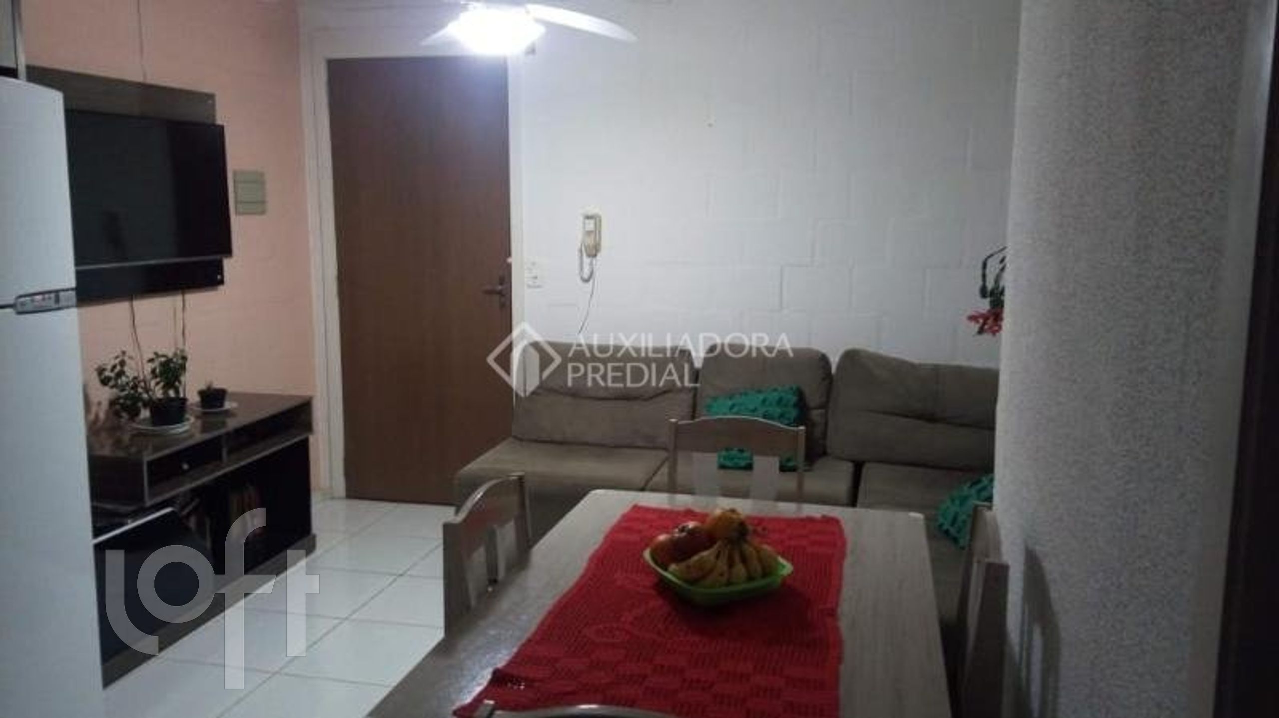 Imagem da propriedade 13