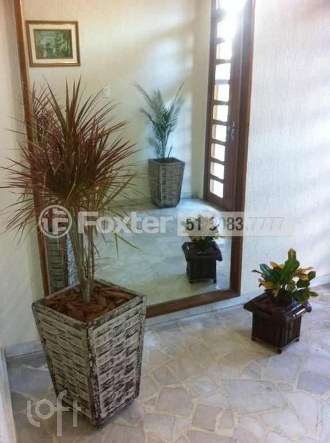 Imagem da propriedade 10