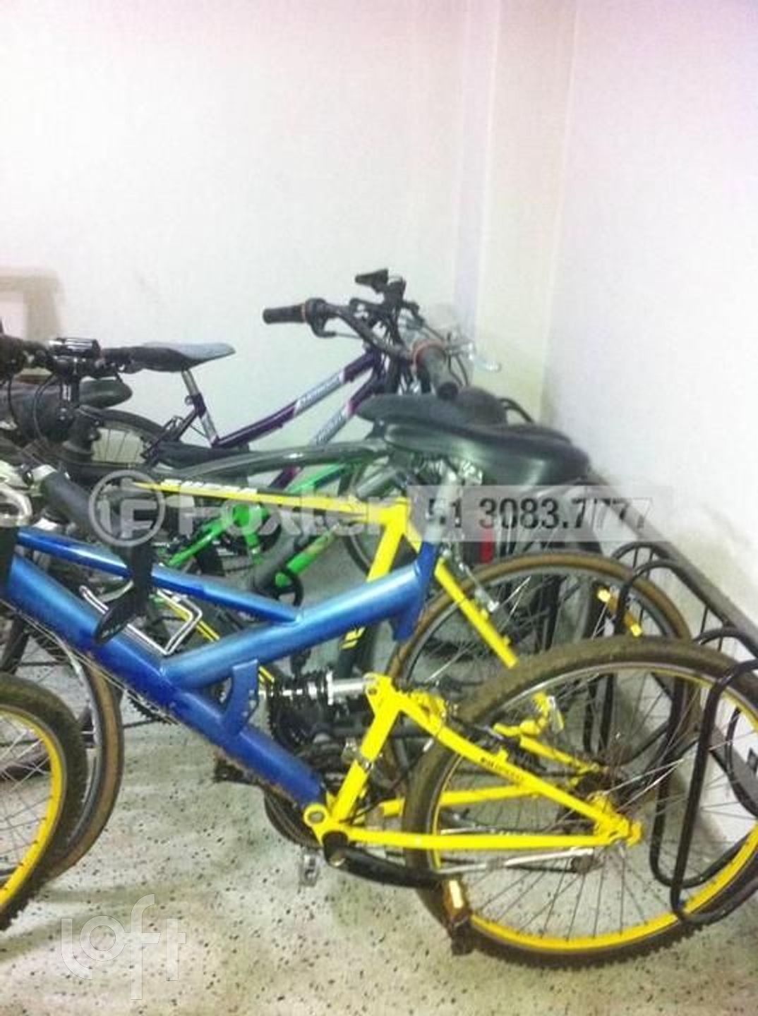 Imagem da propriedade 12