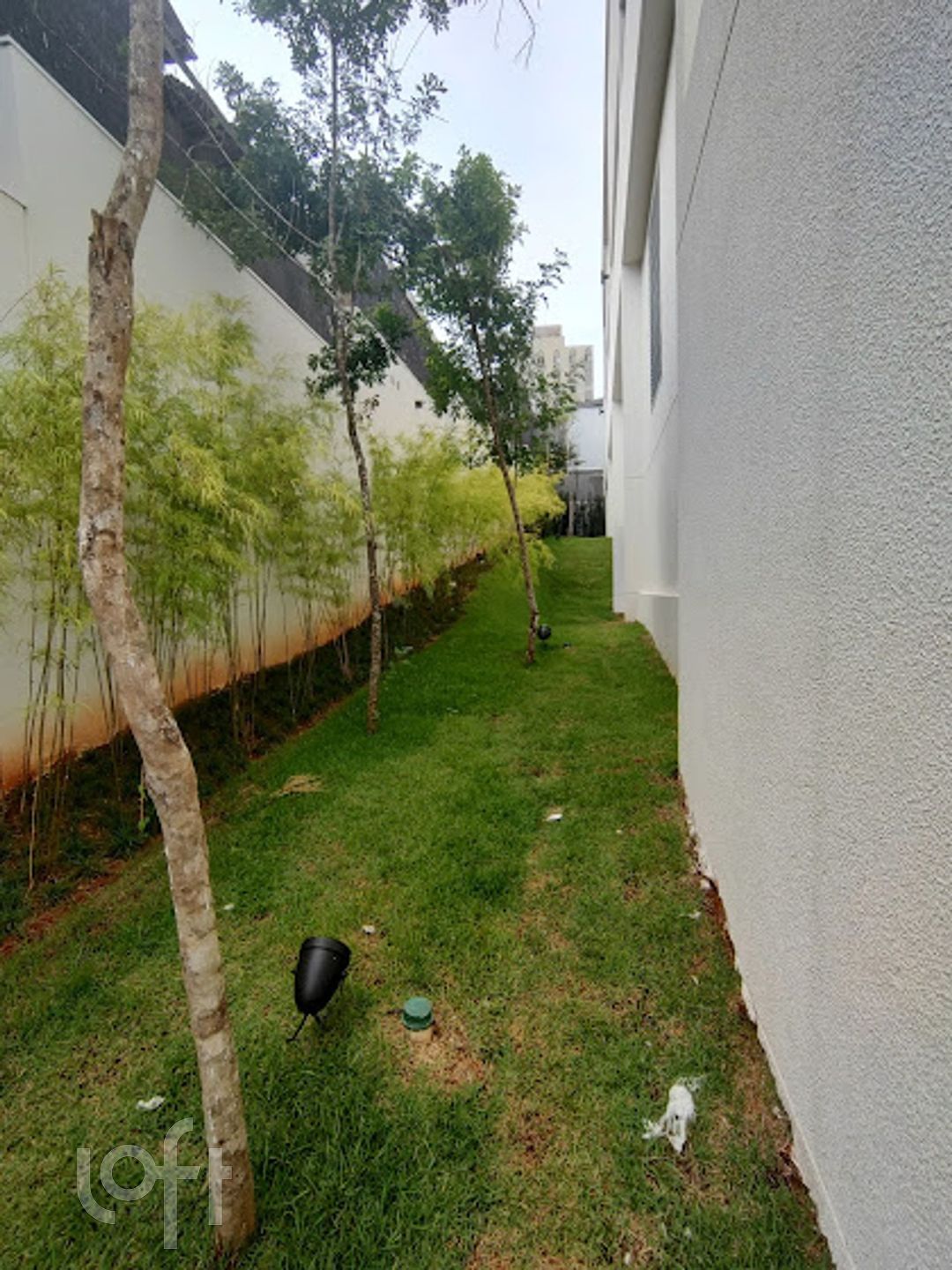 Imagem da propriedade 27