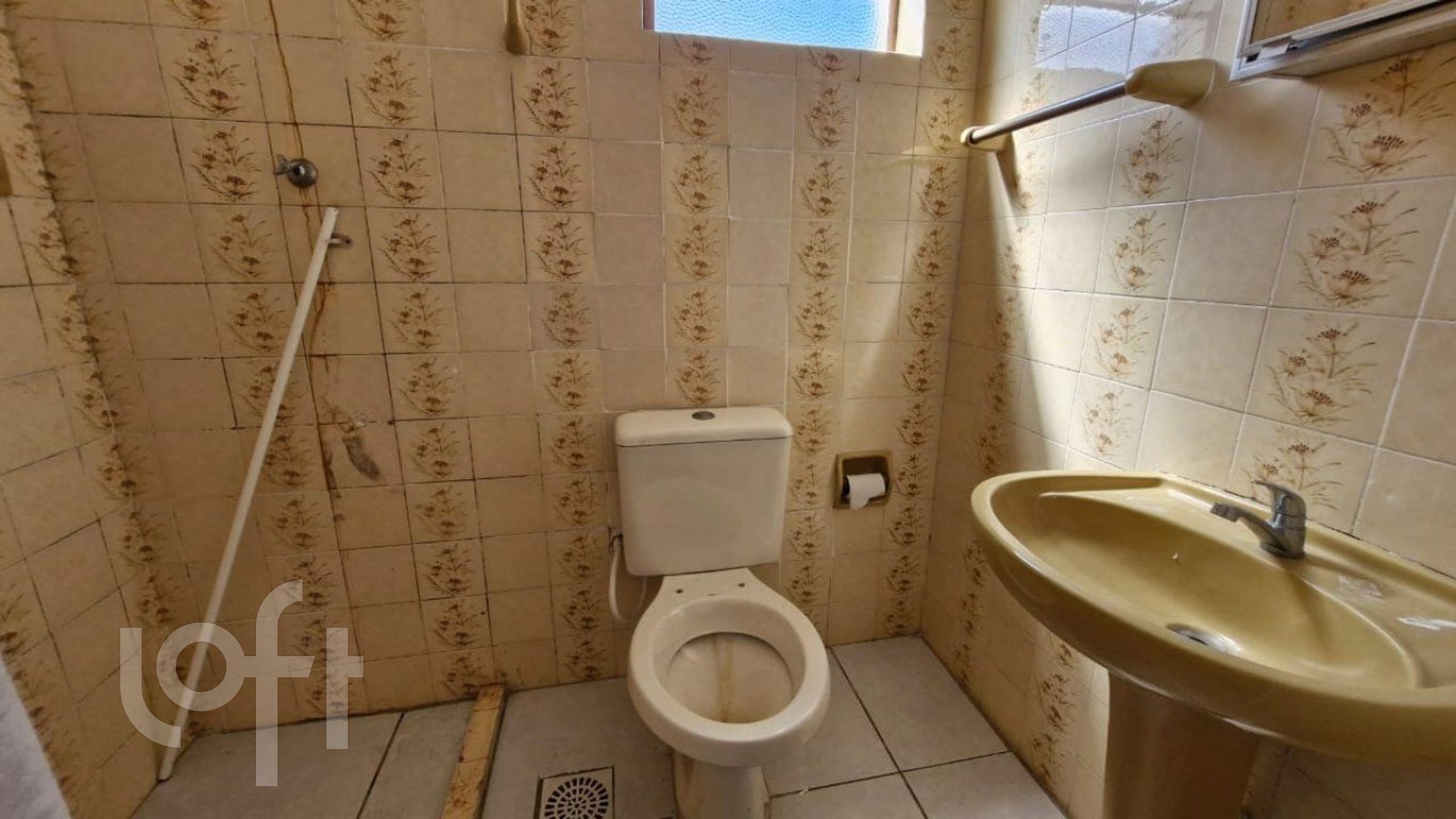 Imagem da propriedade 11