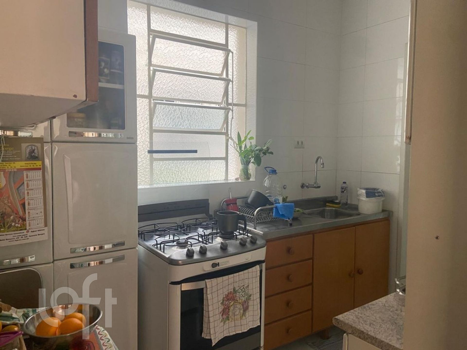 Imagem da propriedade 6