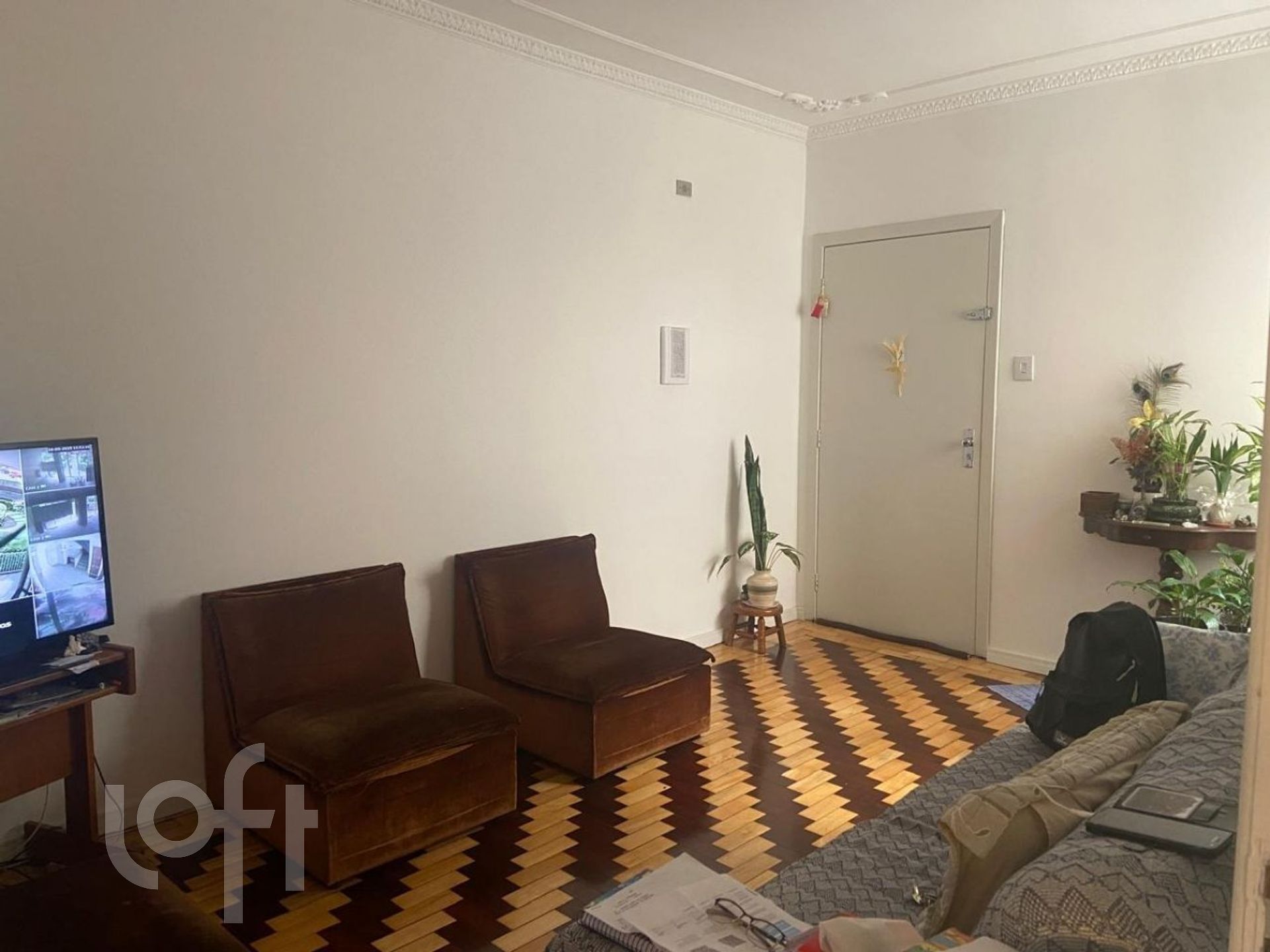 Imagem da propriedade 3