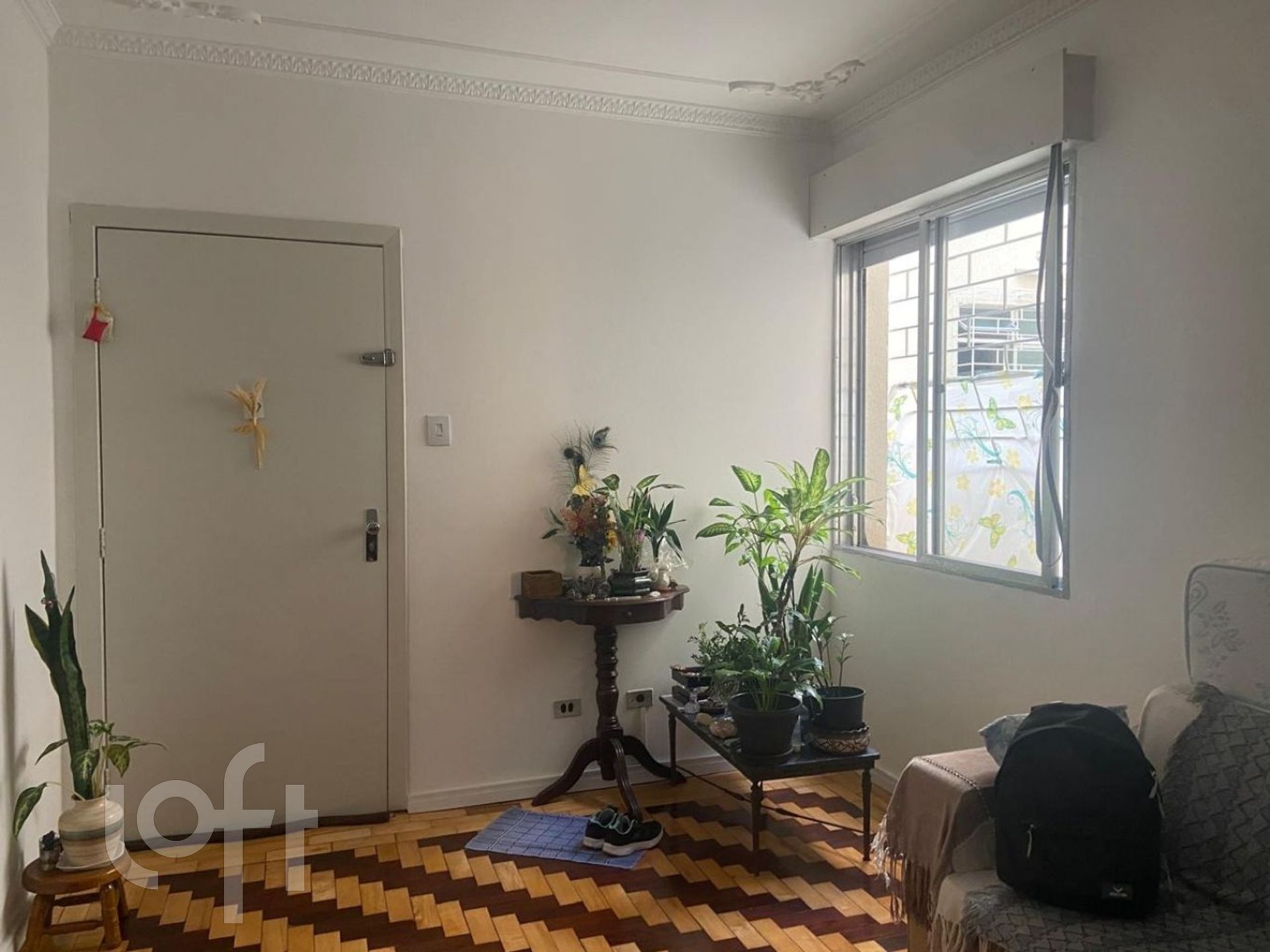 Imagem da propriedade 4