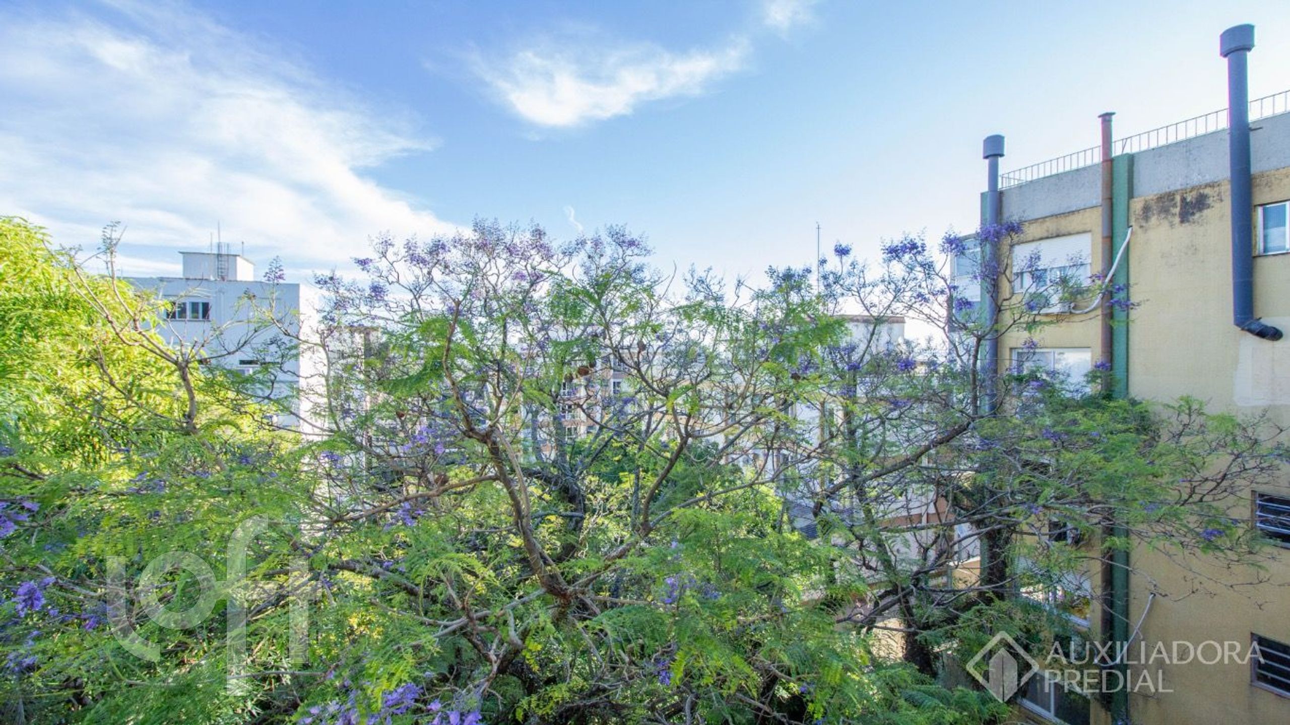 Imagem da propriedade 8