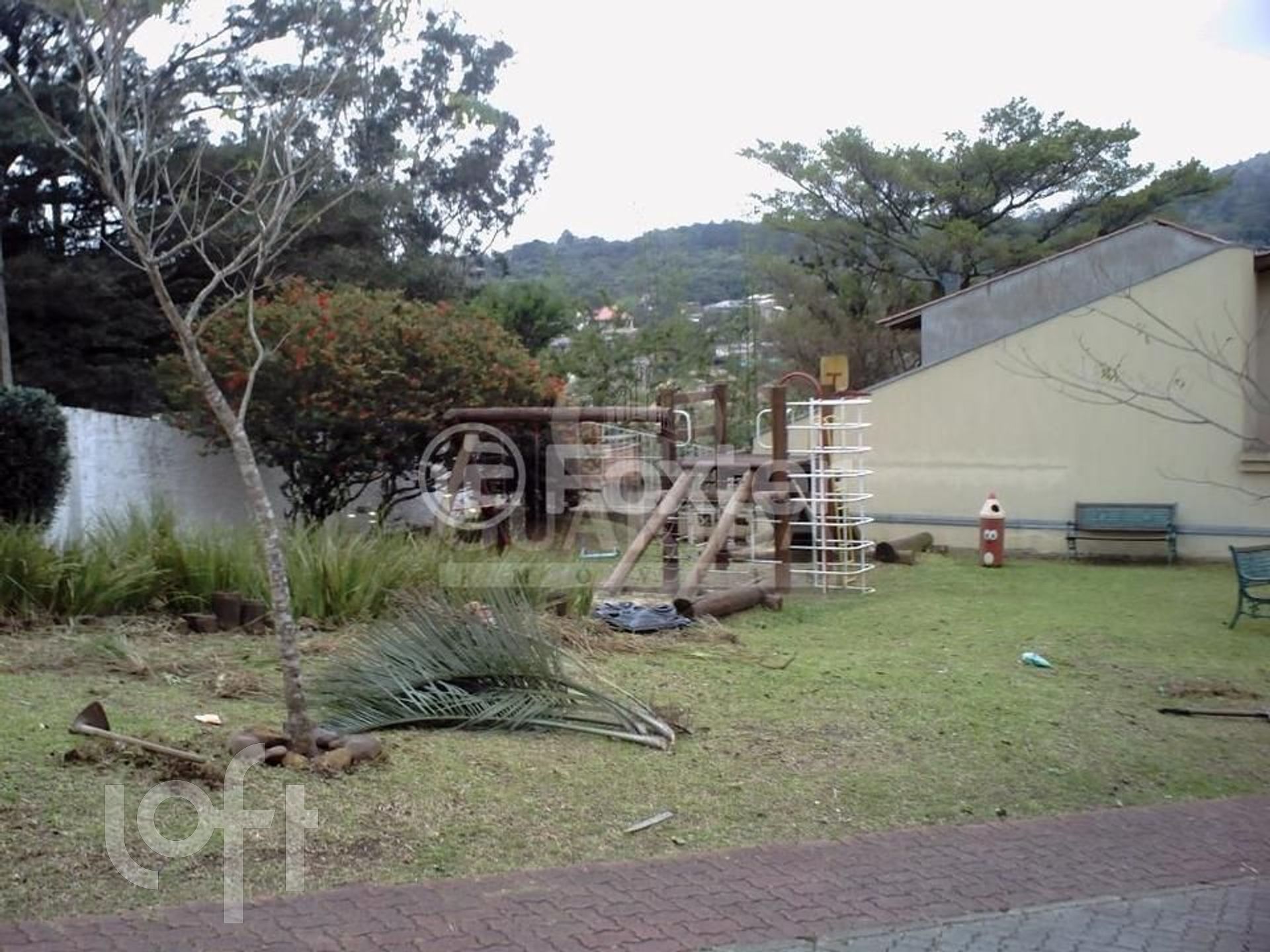 Imagem da propriedade 5