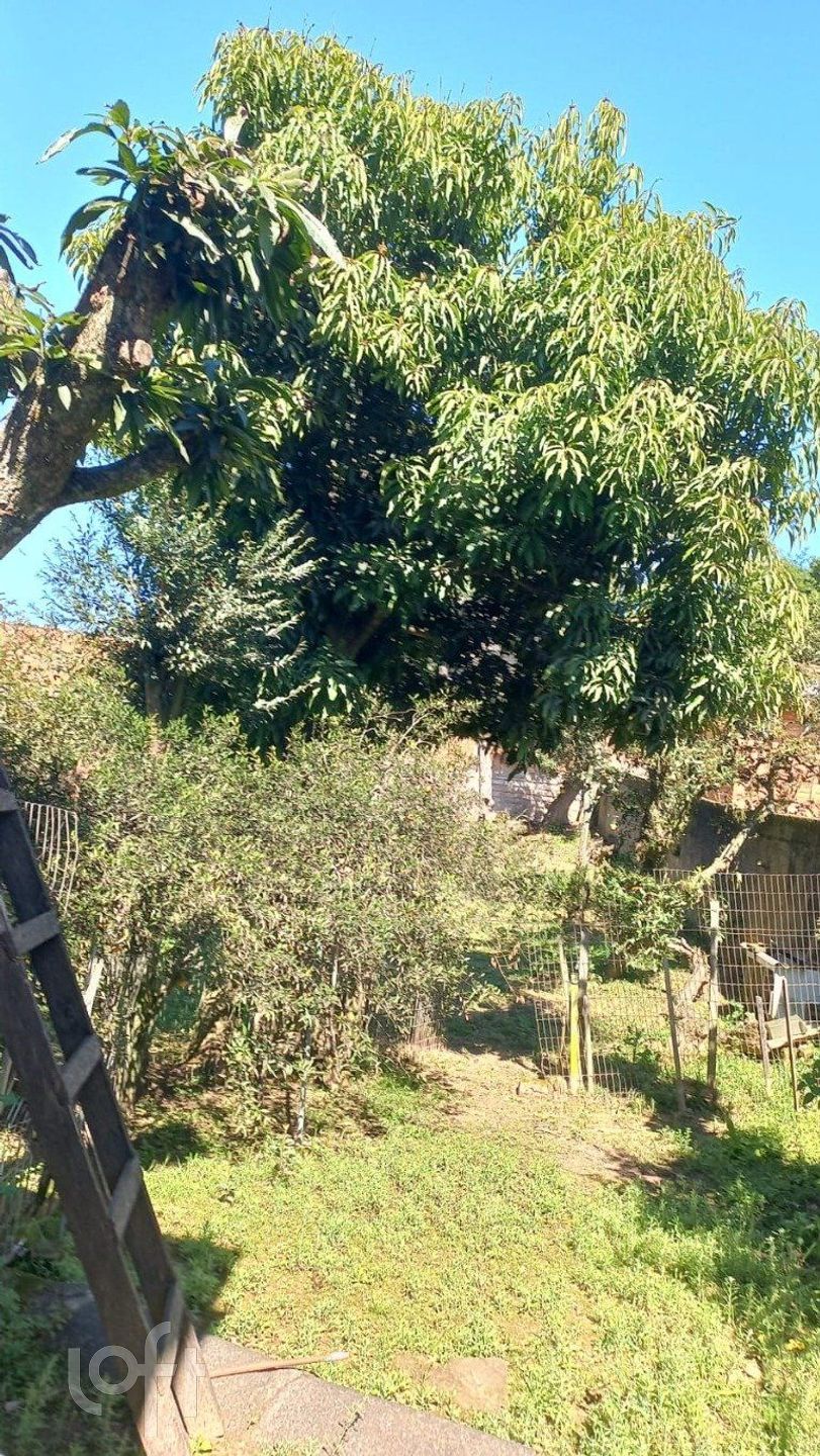 Imagem da propriedade 9