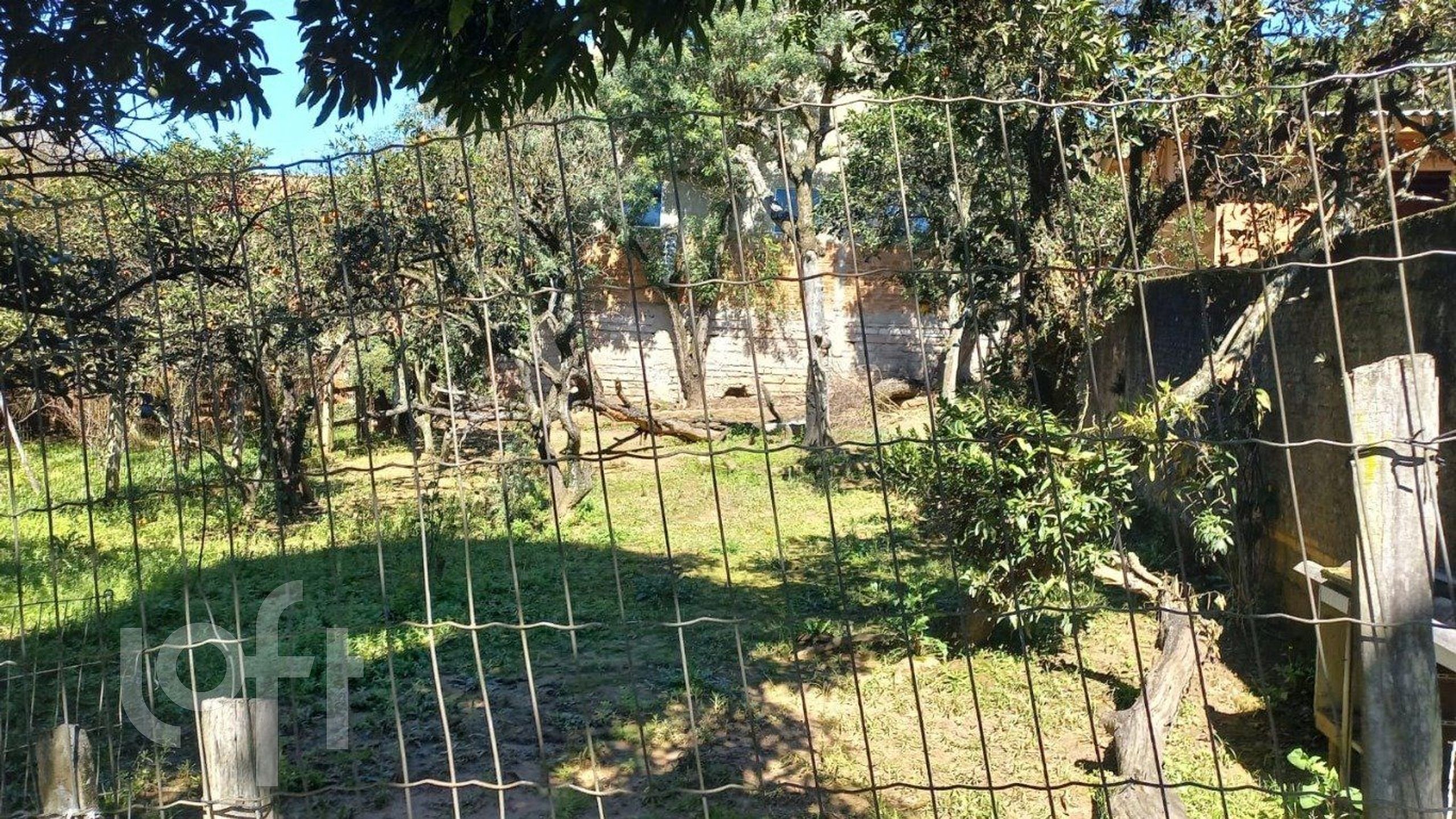 Imagem da propriedade 21