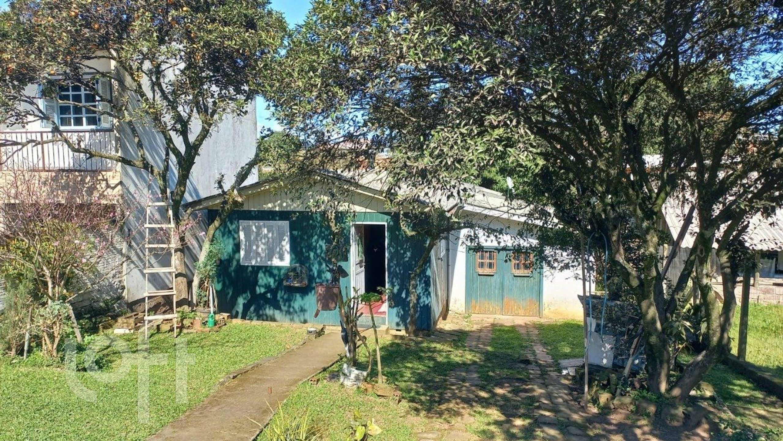 Imagem da propriedade 26