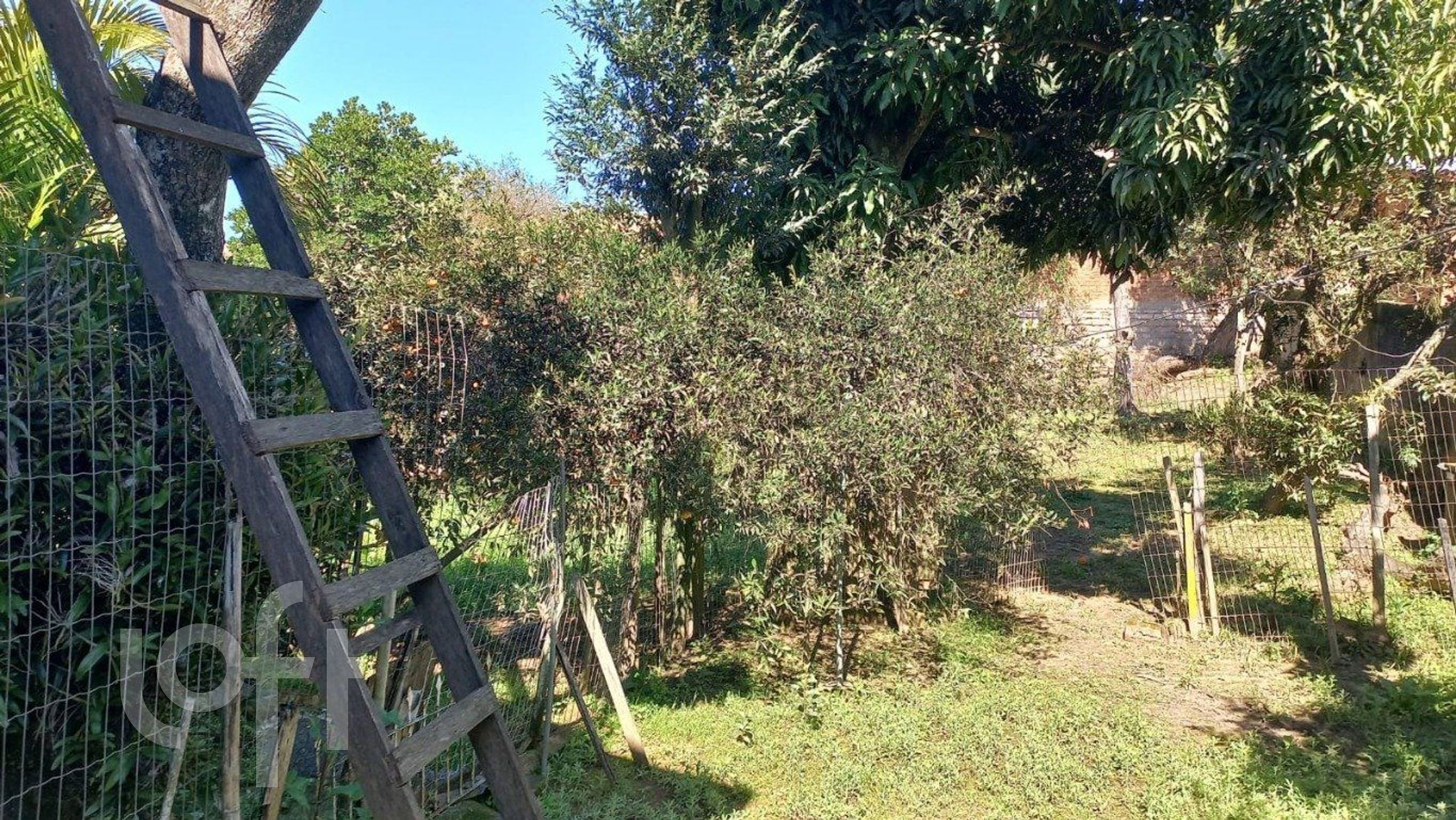 Imagem da propriedade 17