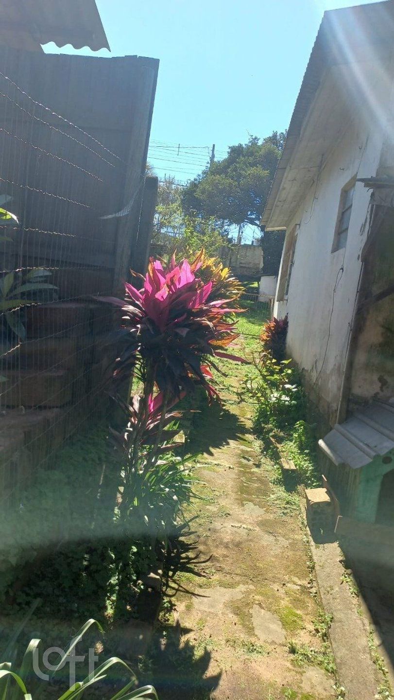 Imagem da propriedade 10