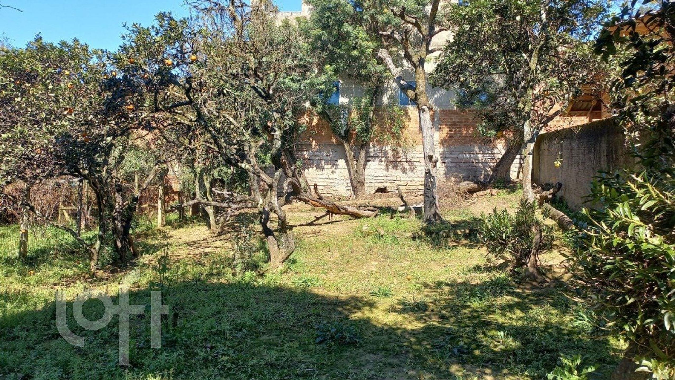 Imagem da propriedade 4