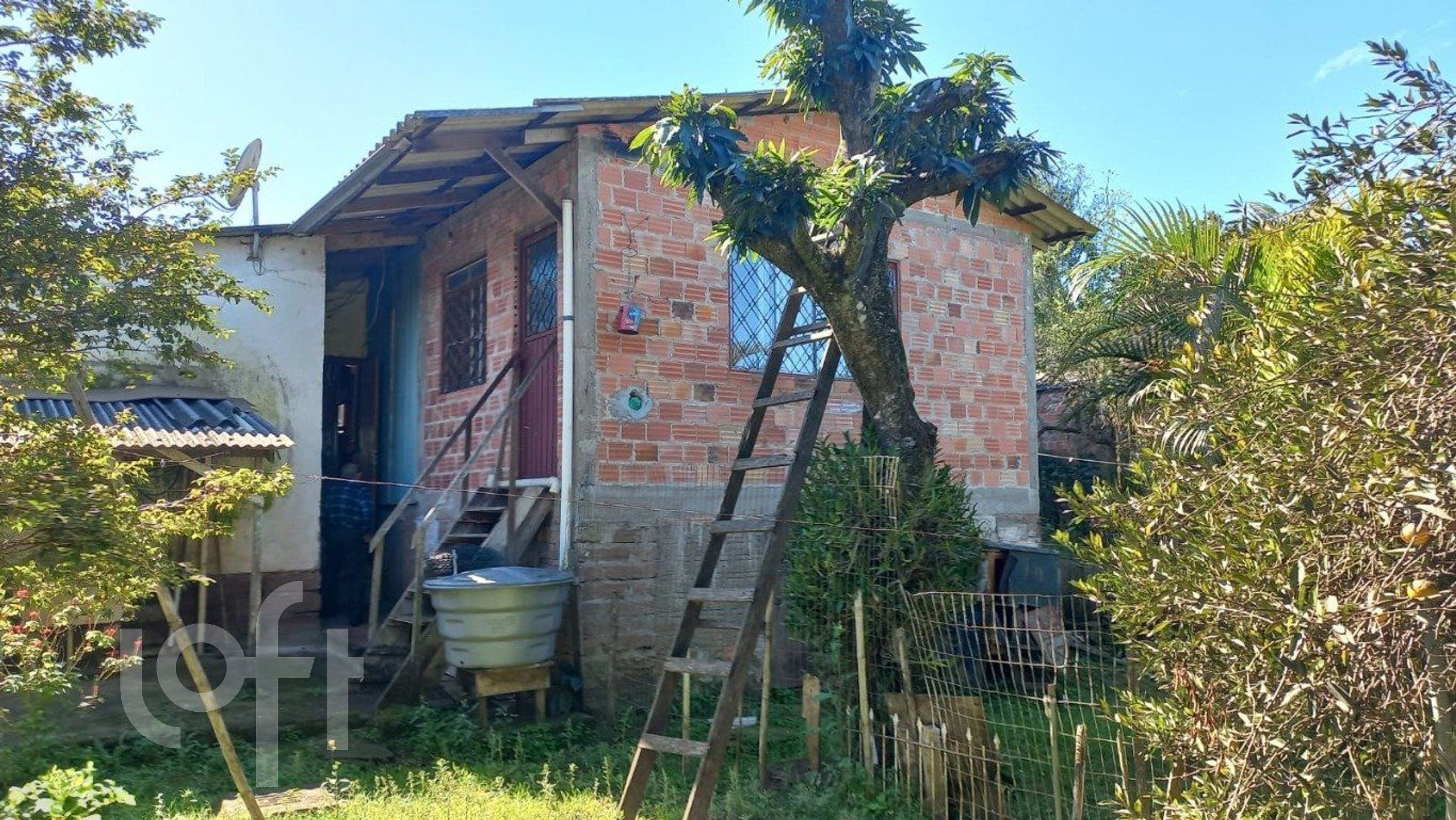 Imagem da propriedade 19