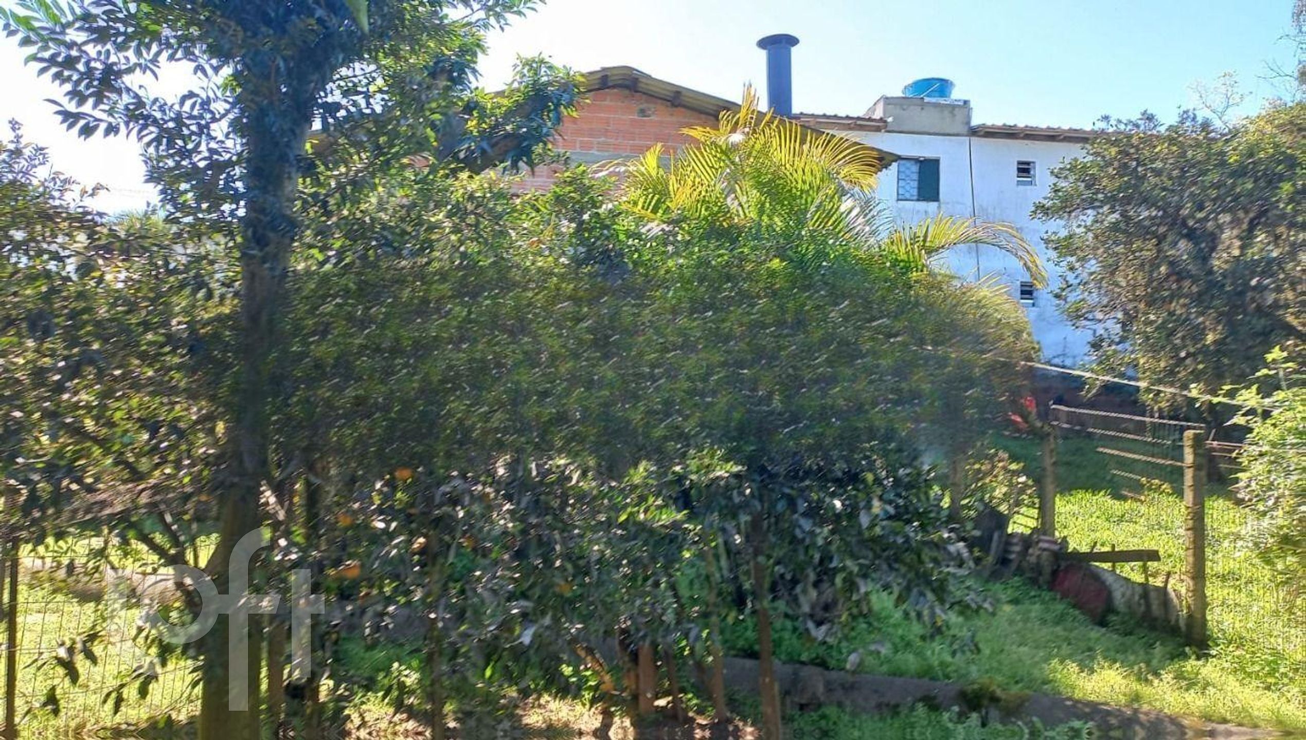 Imagem da propriedade 27