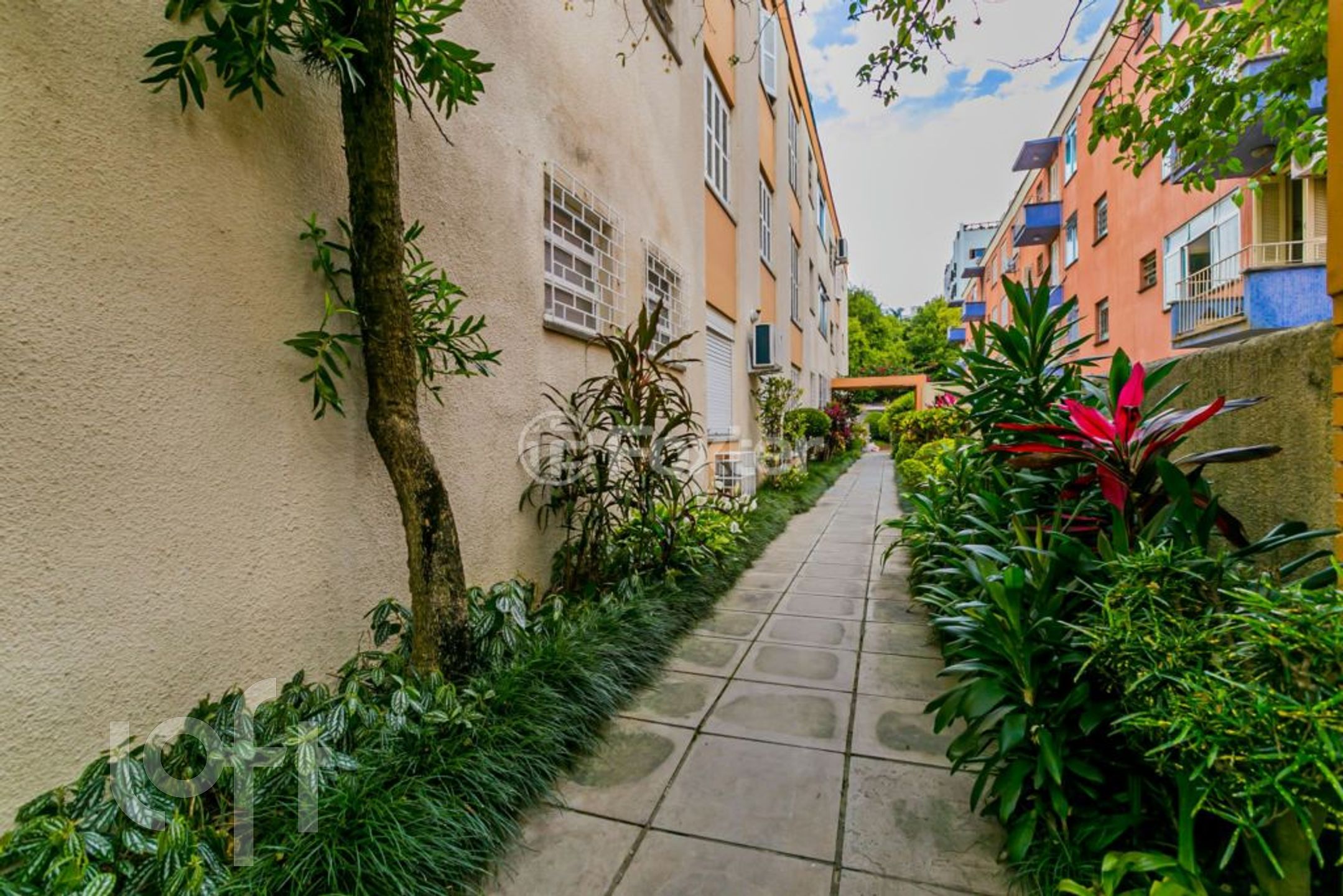 Imagem da propriedade 25