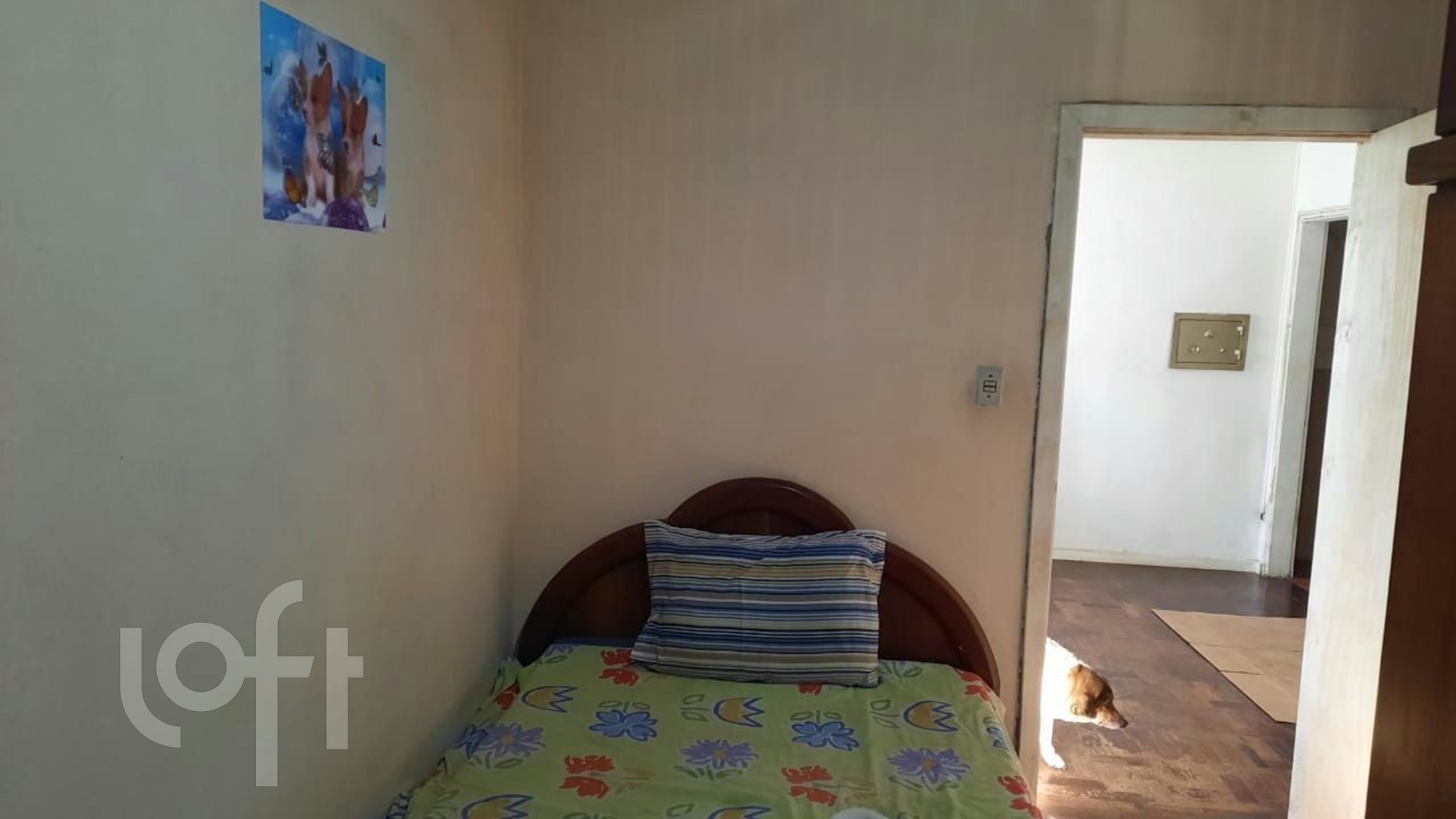 Imagem da propriedade 4