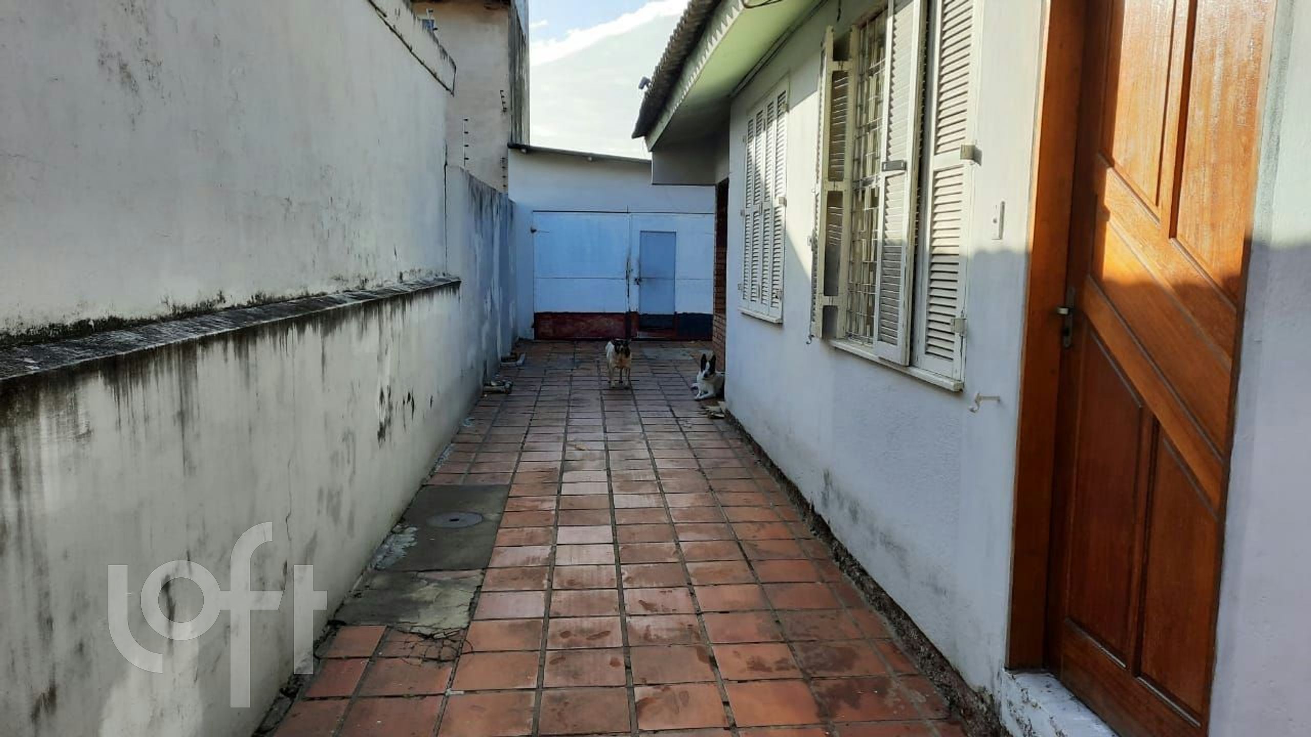 Imagem da propriedade 16