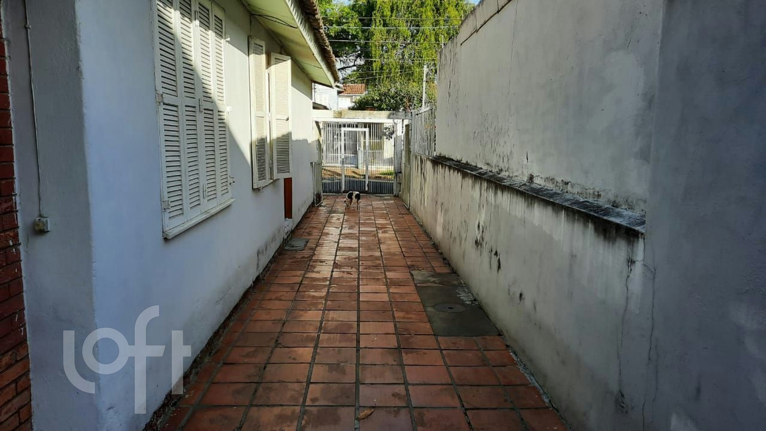 Imagem da propriedade 17