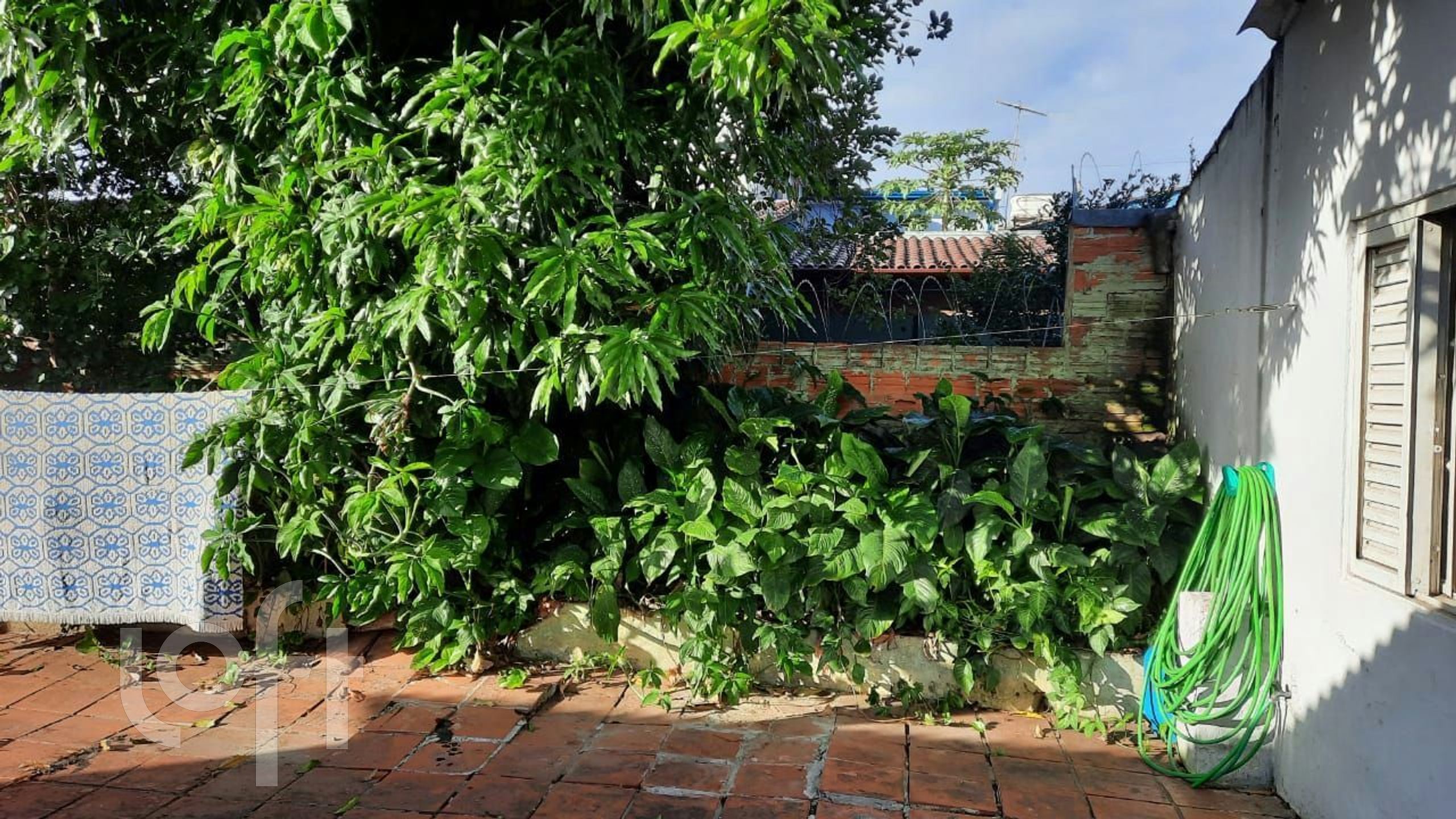 Imagem da propriedade 18