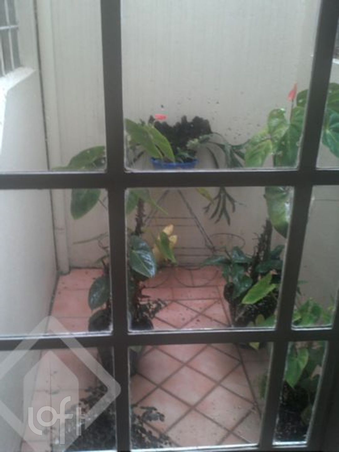 Imagem da propriedade 9