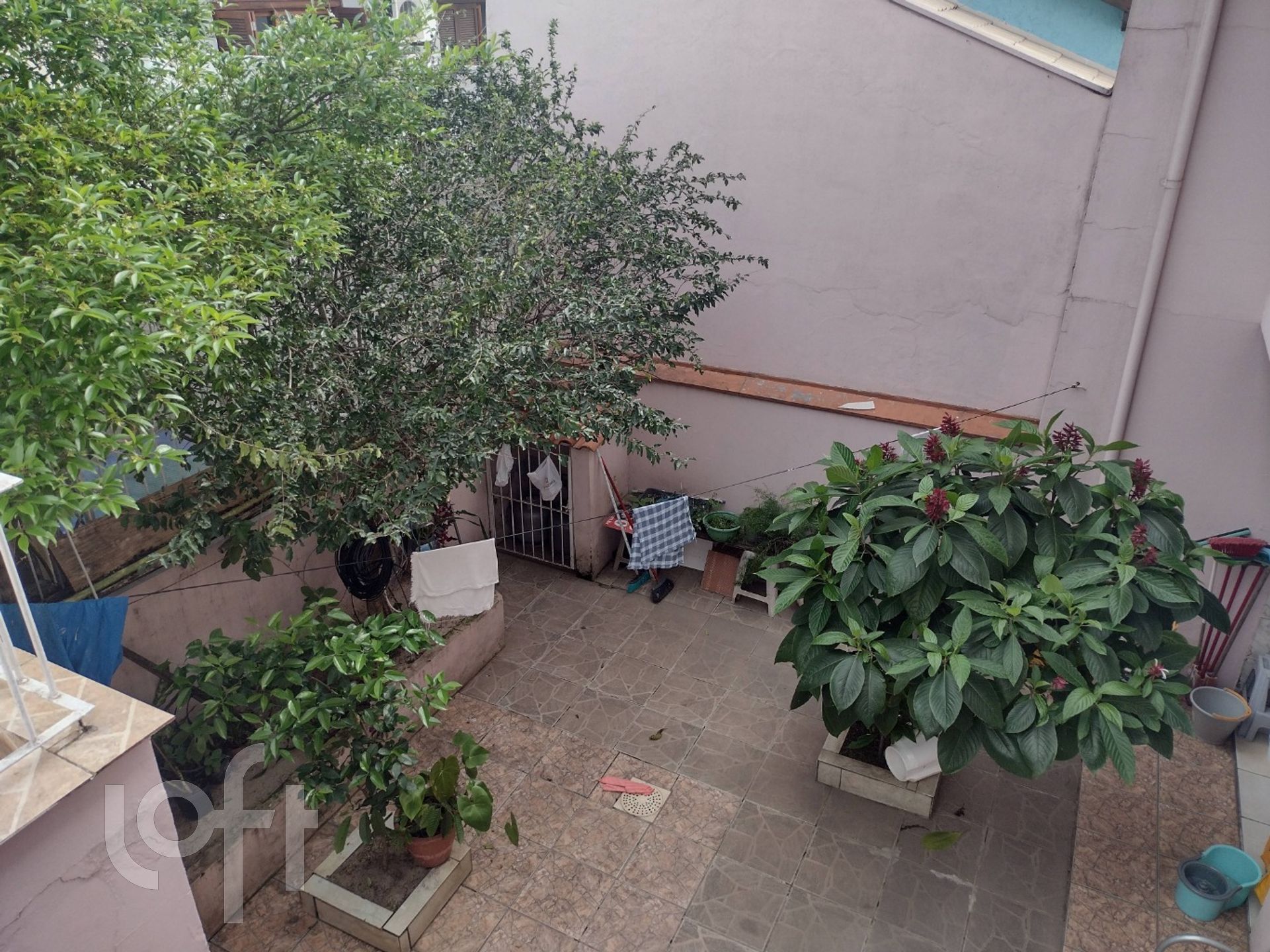 Imagem da propriedade 8