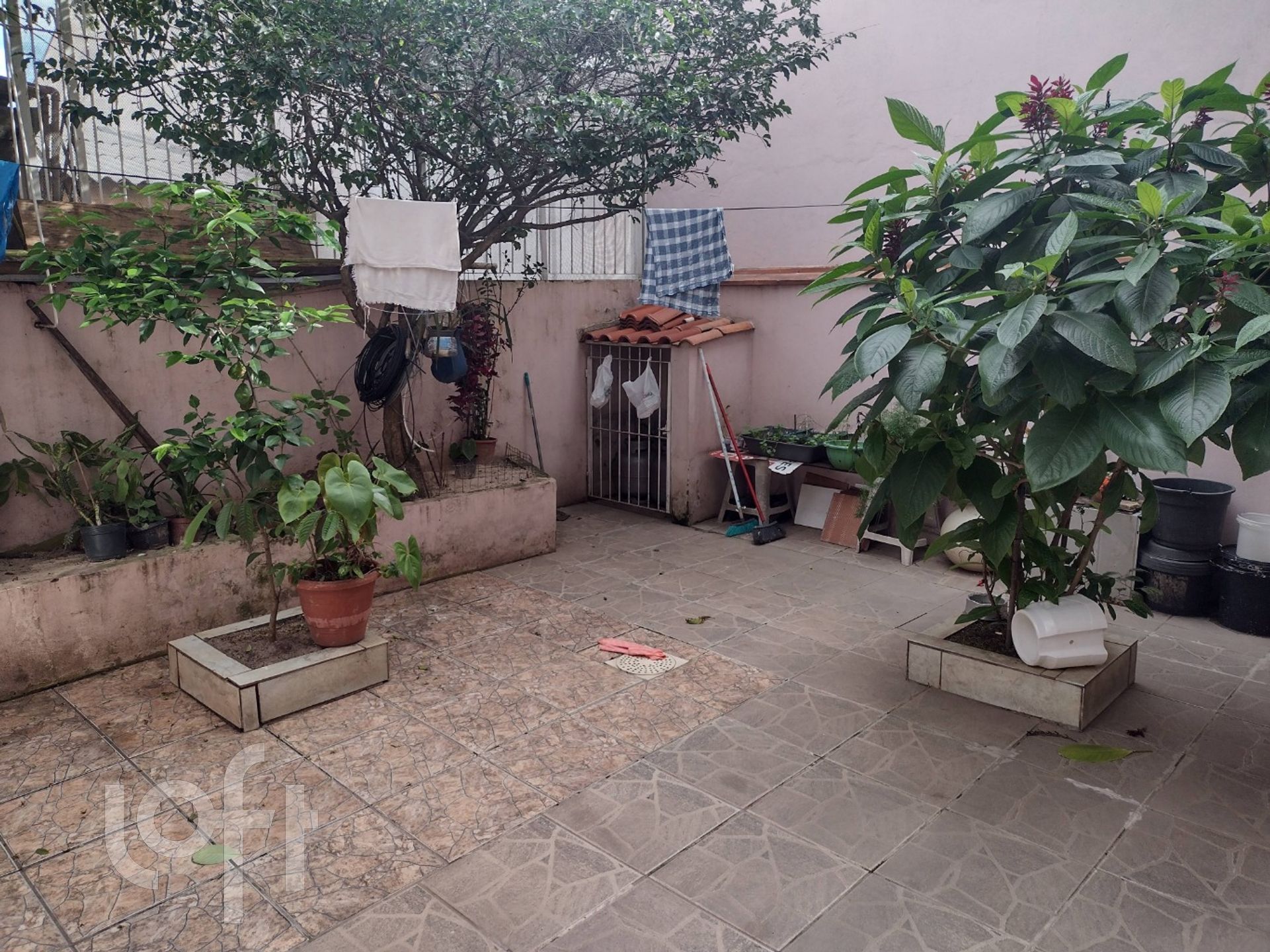 Imagem da propriedade 23