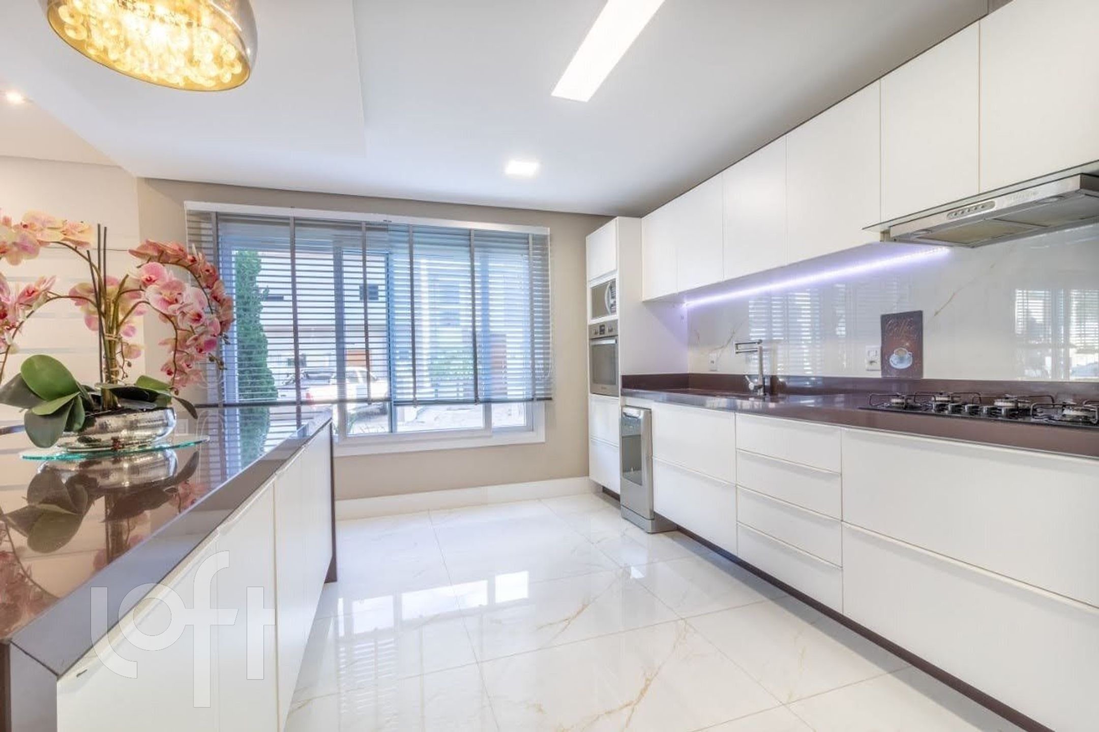 Imagem da propriedade 12