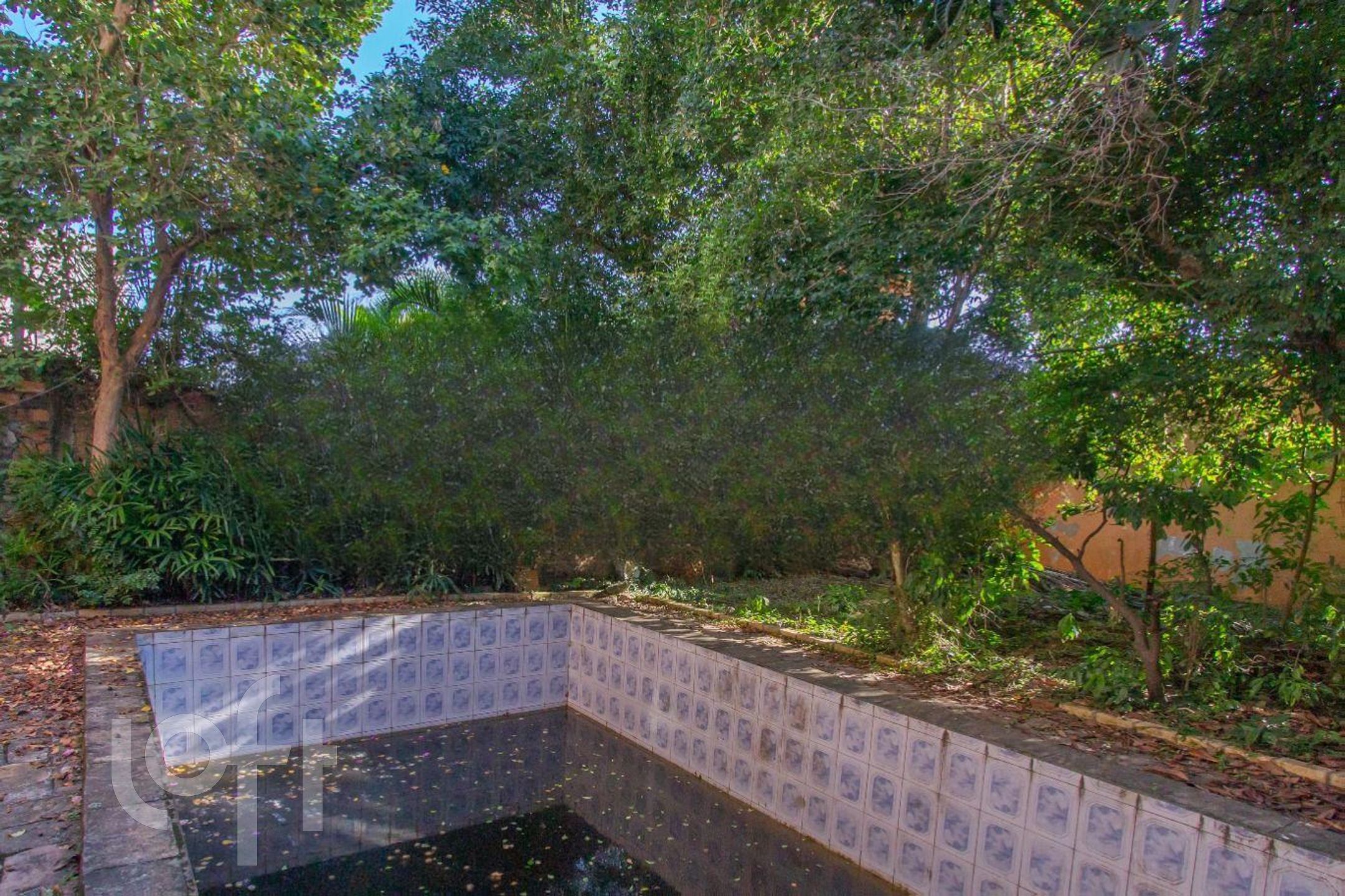 Imagem da propriedade 12