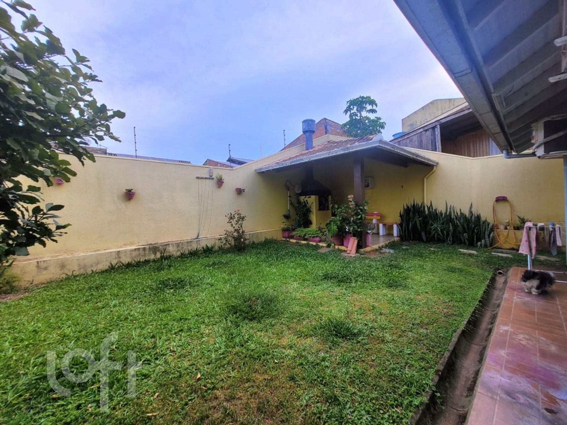 Imagem da propriedade 34