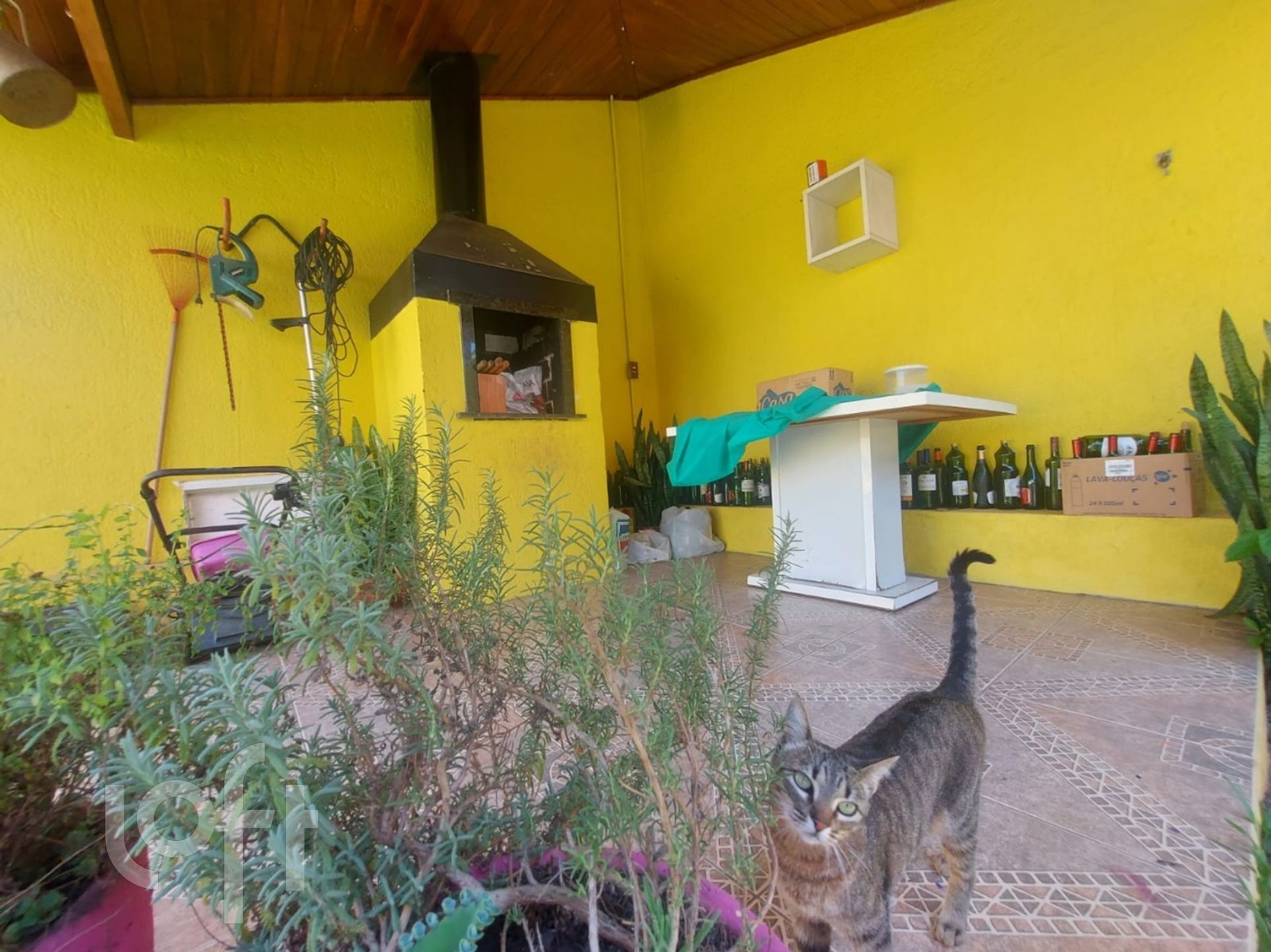 Imagem da propriedade 32