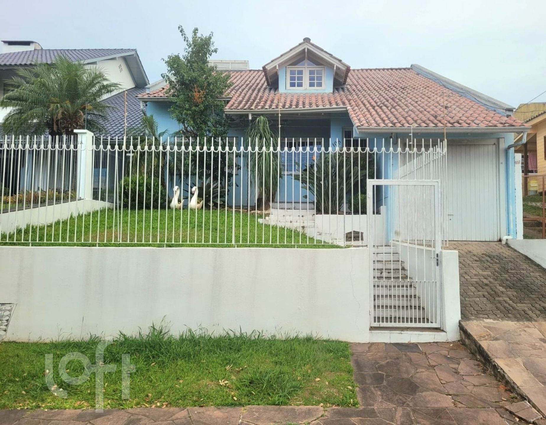 Imagem da propriedade 33