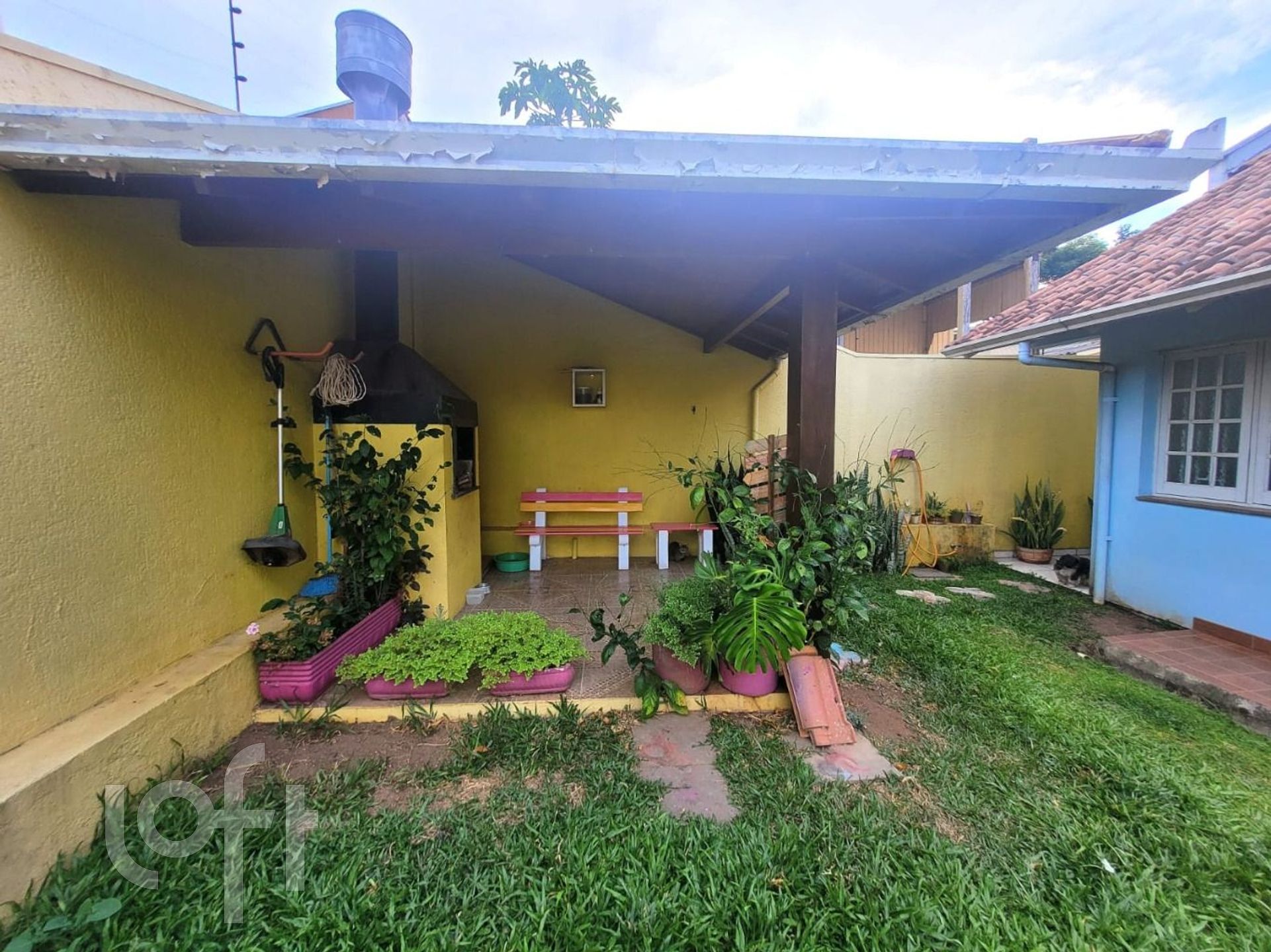 Imagem da propriedade 29