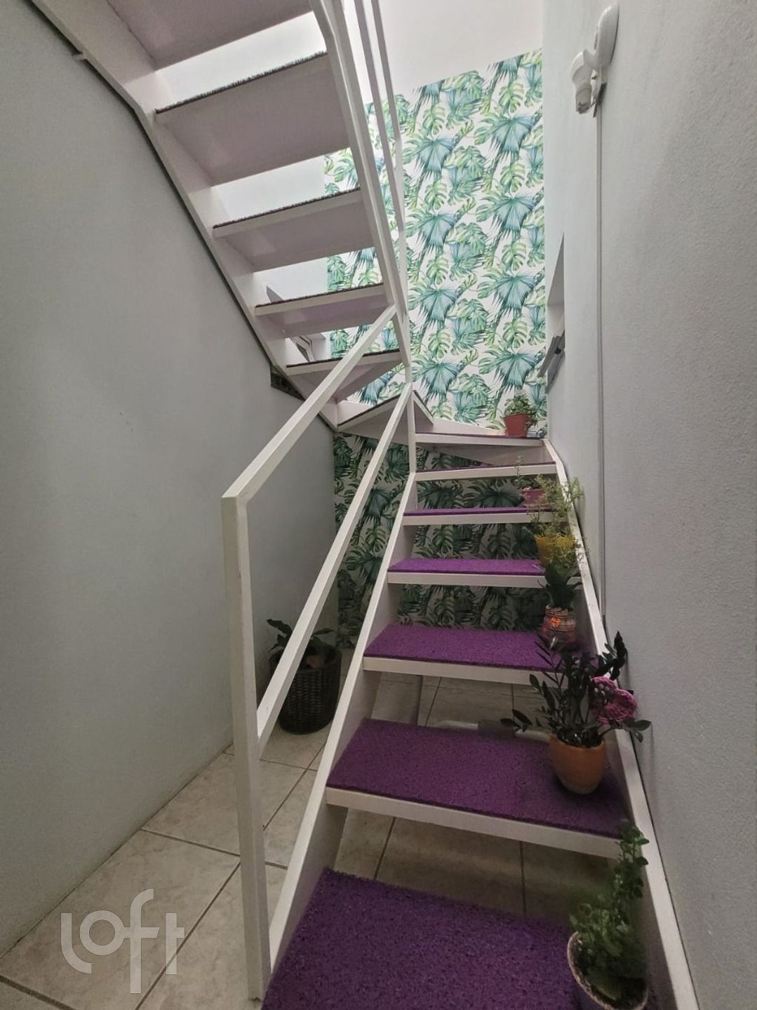 Imagem da propriedade 47