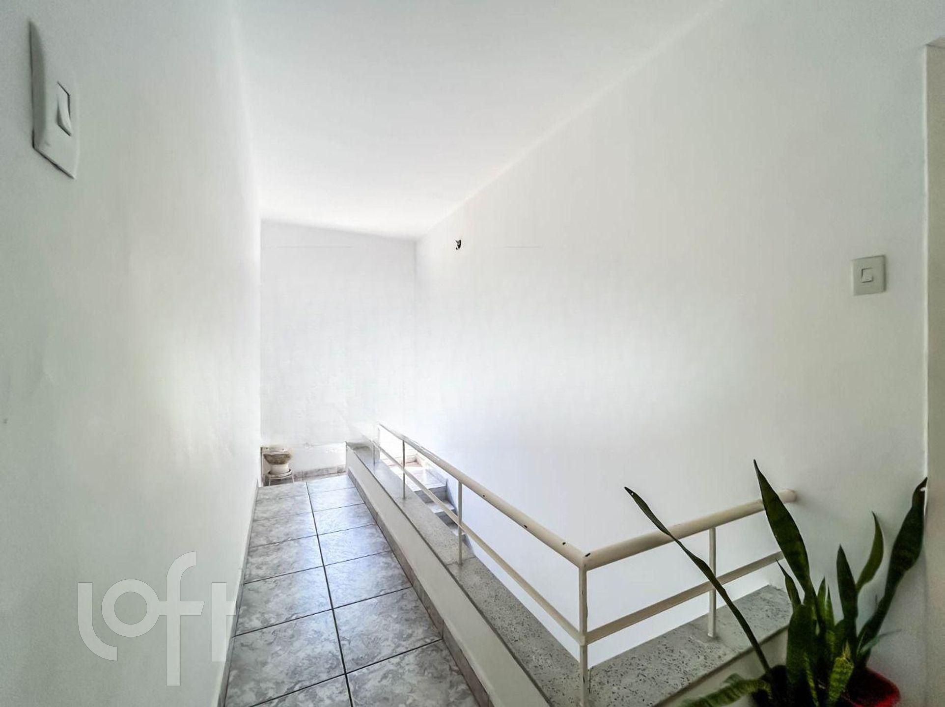 Imagem da propriedade 34