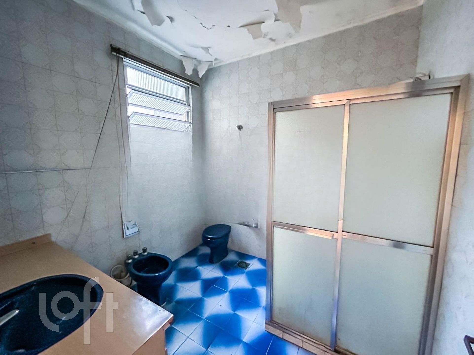 Imagem da propriedade 10