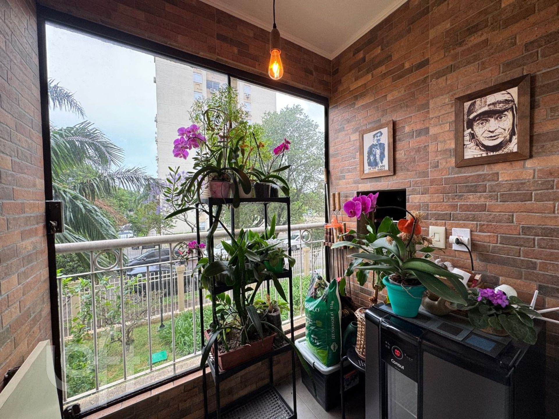 Imagem da propriedade 8