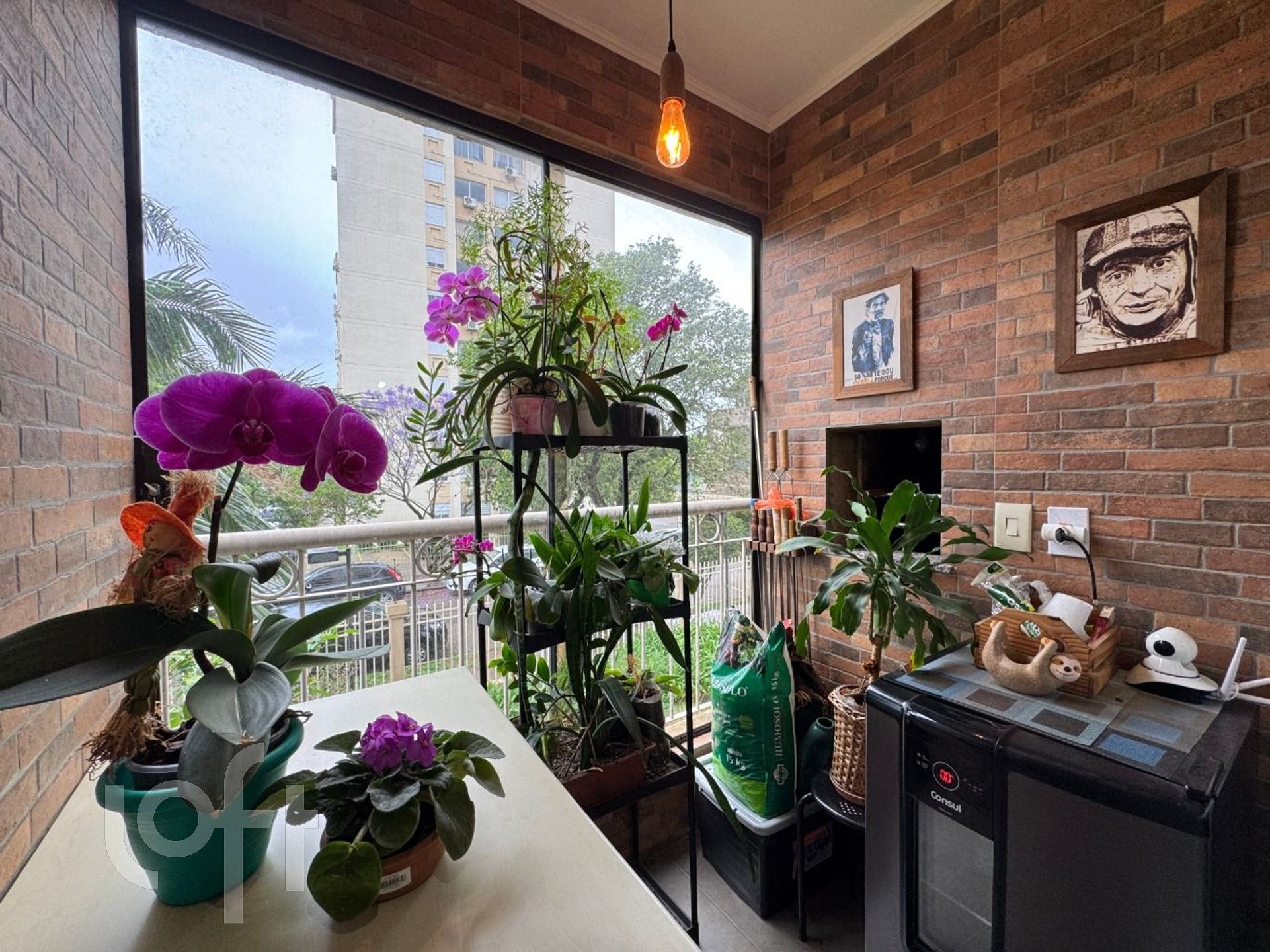 Imagem da propriedade 9