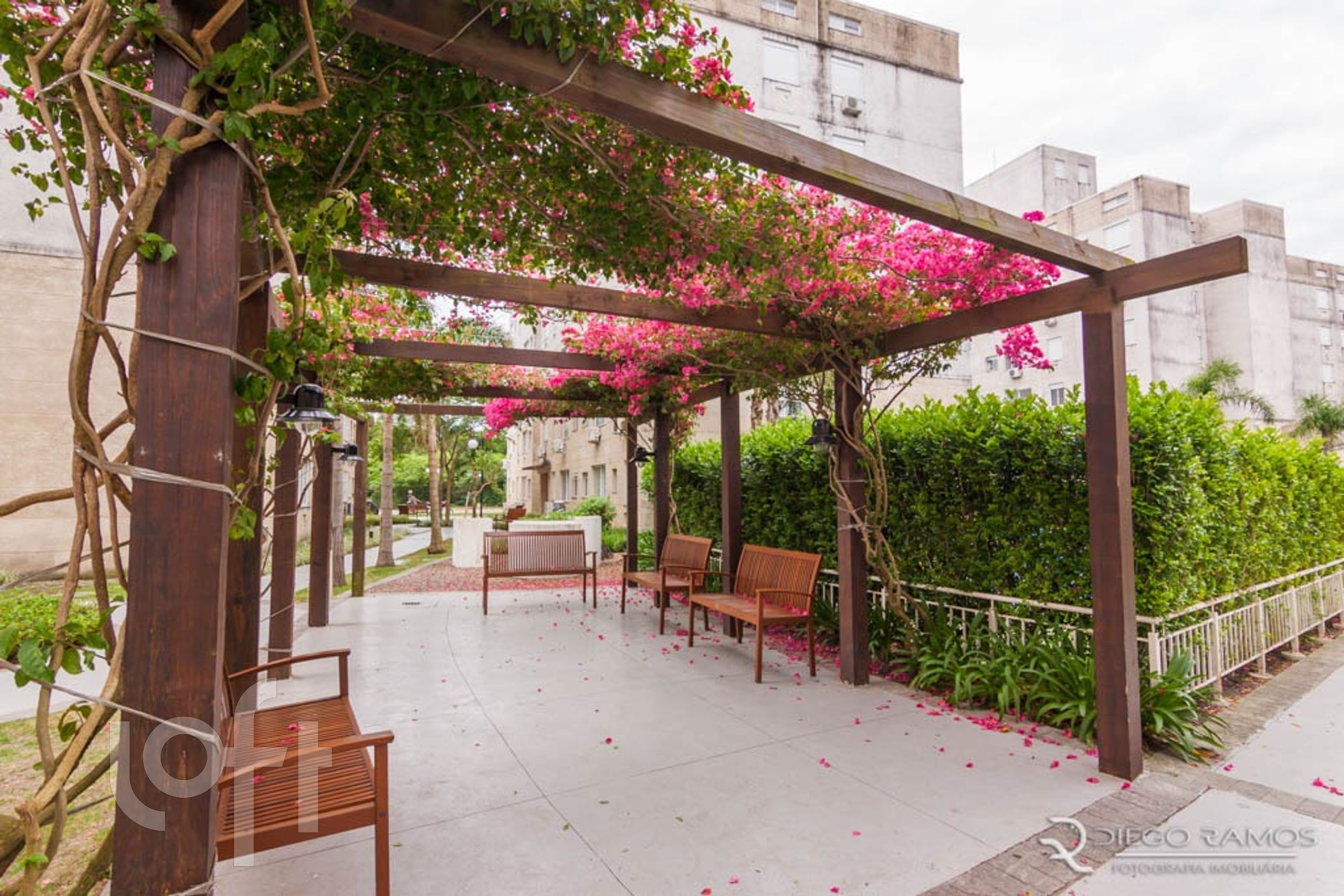 Imagem da propriedade 12