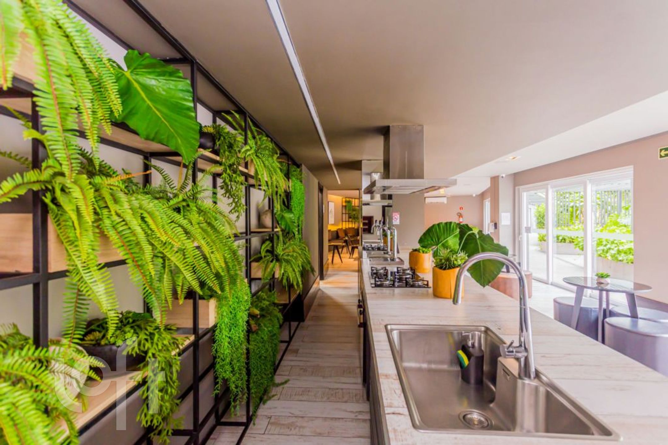 Imagem da propriedade 61