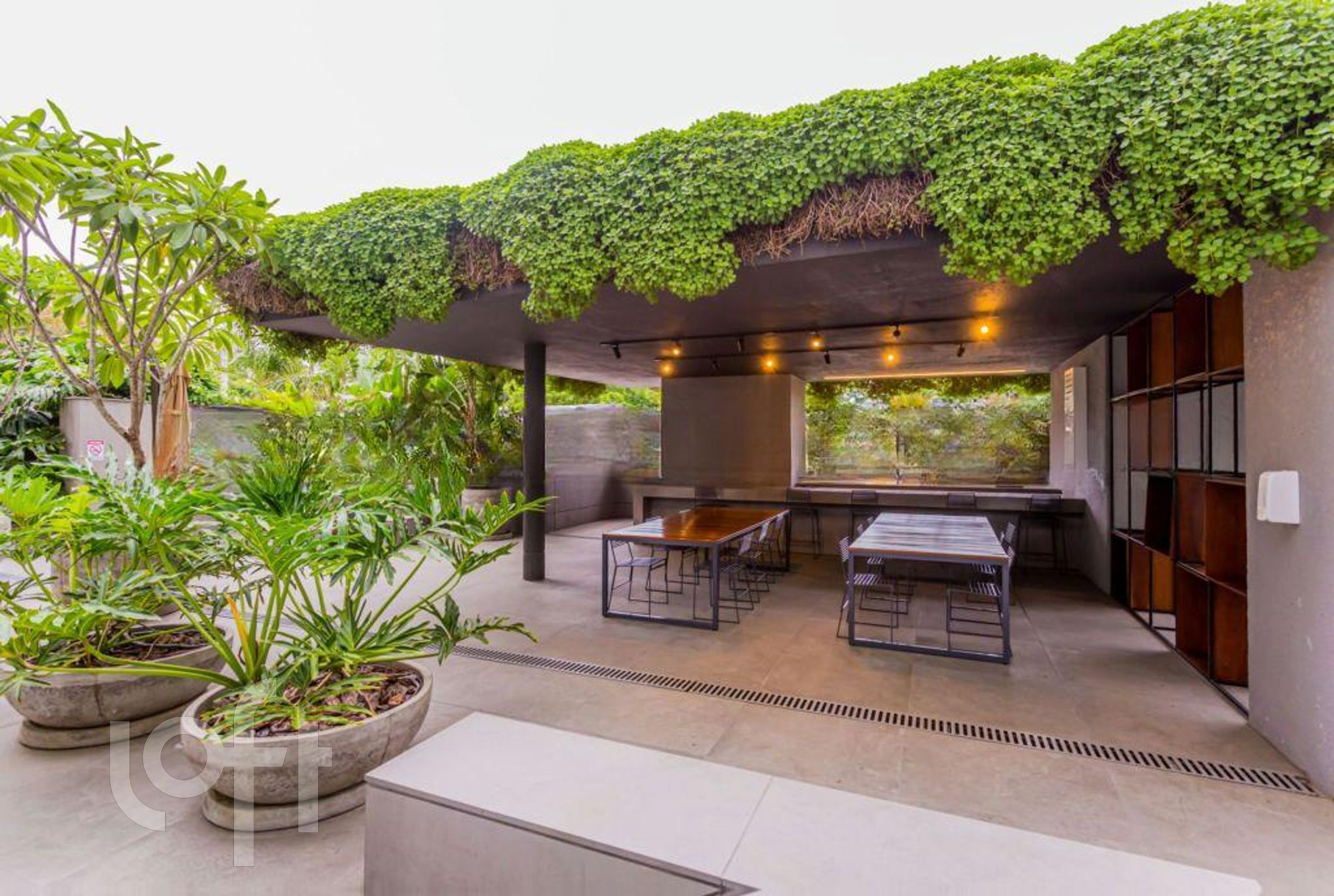 Imagem da propriedade 69