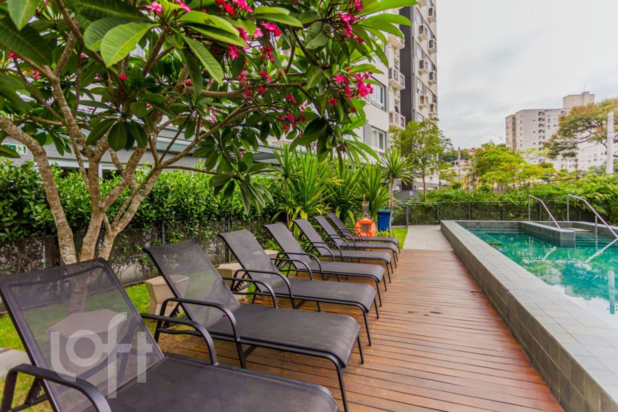 Imagem da propriedade 49