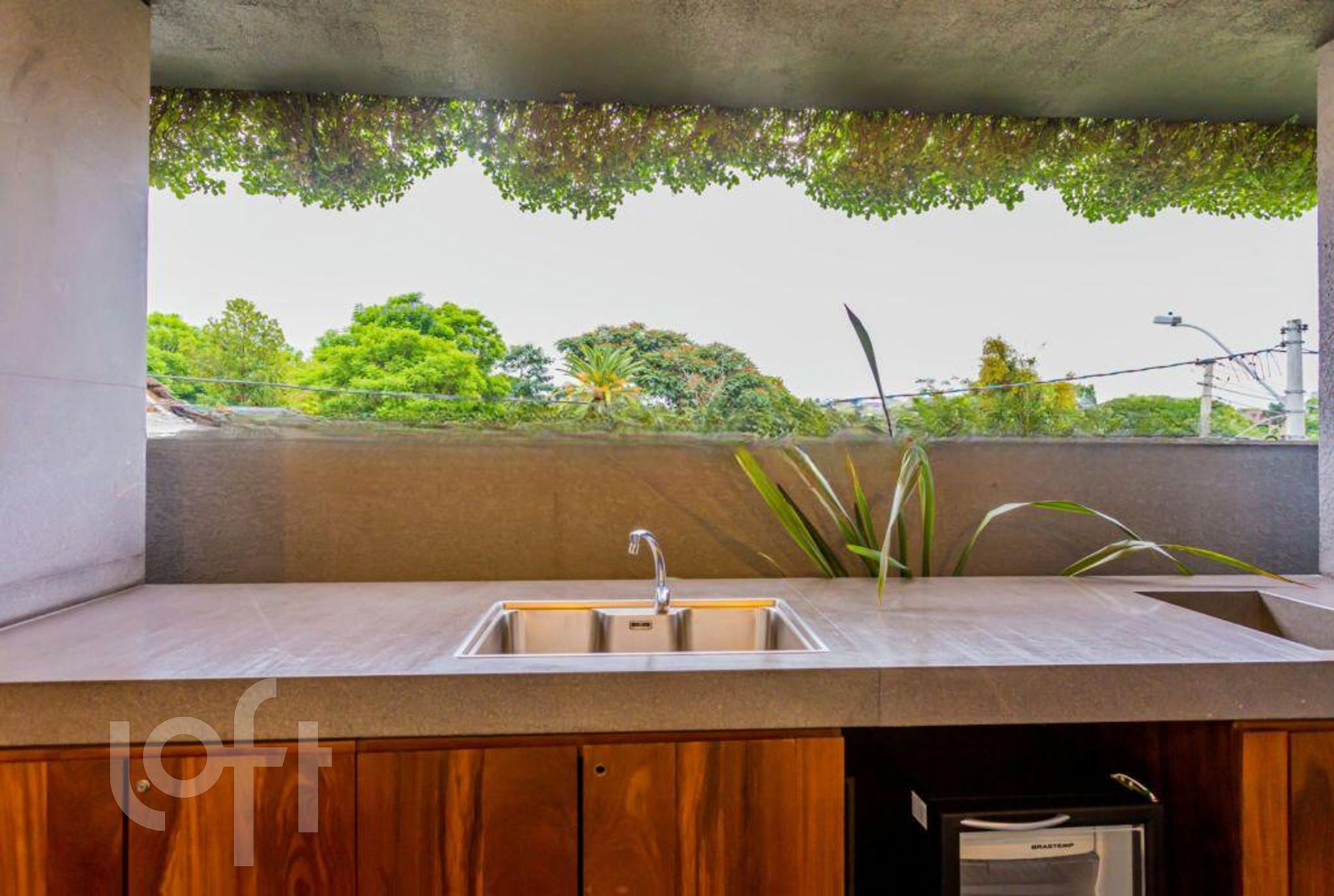 Imagem da propriedade 75