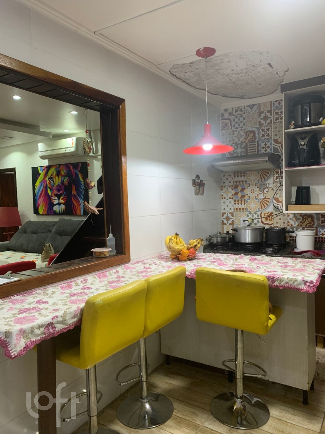 Imagem da propriedade 10