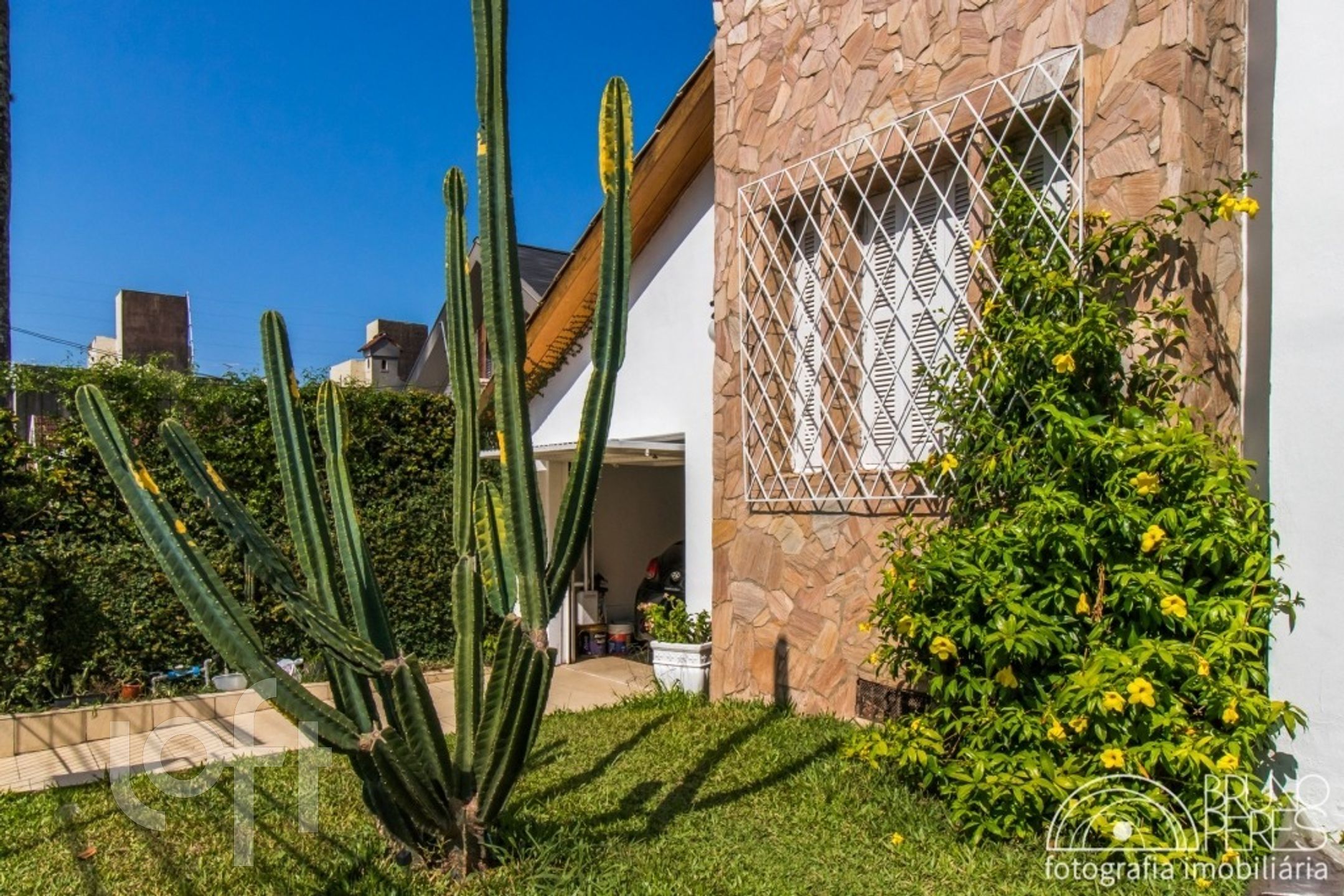 Imagem da propriedade 4