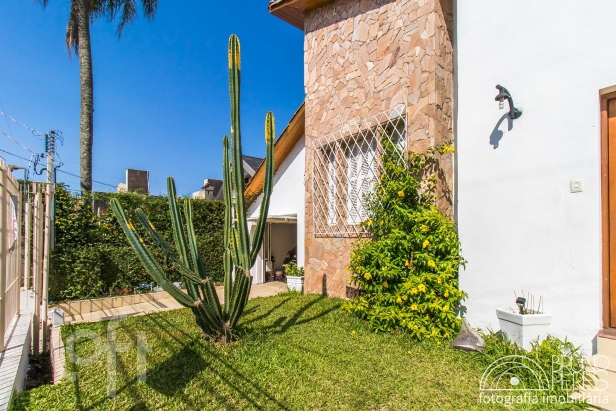 Imagem da propriedade 6